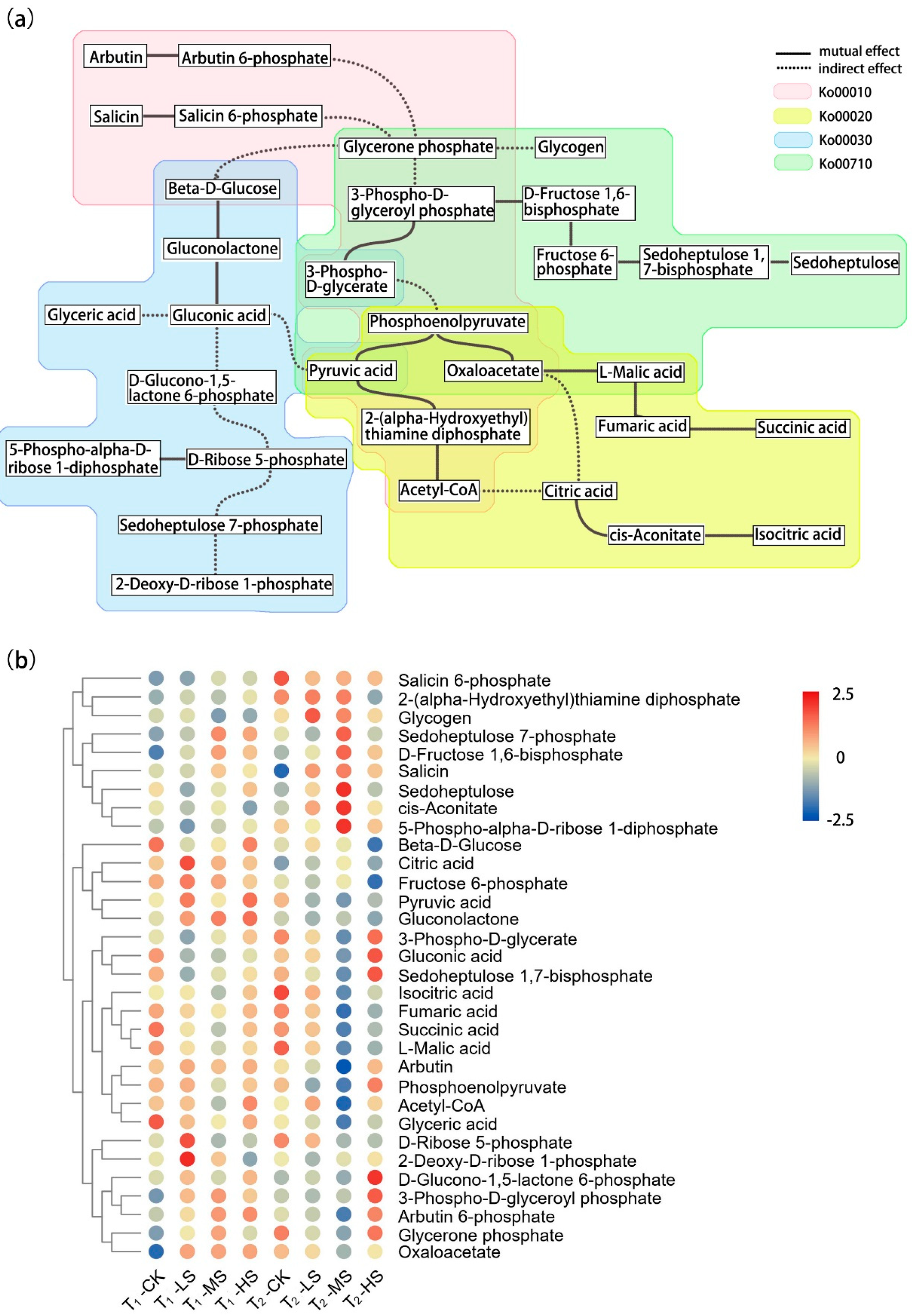 Ijms 23 01161 g002 550