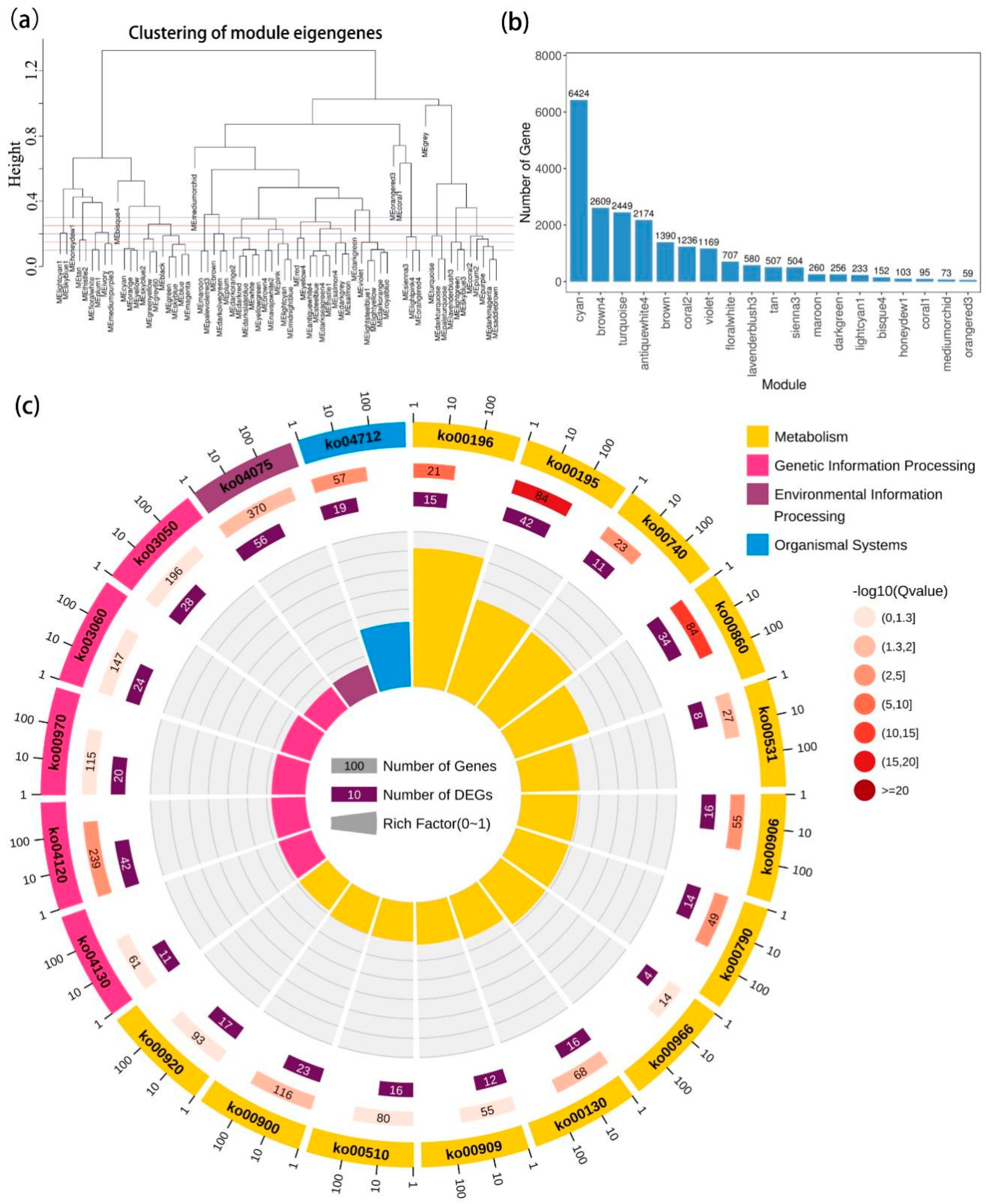 Ijms 23 01161 g004 550