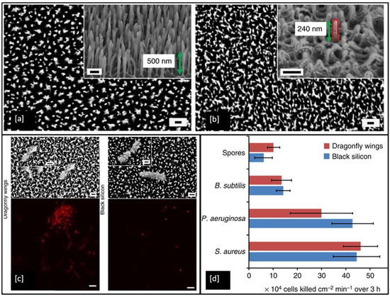 Recent Advances in Metal-Based Antimicrobial Coatings for