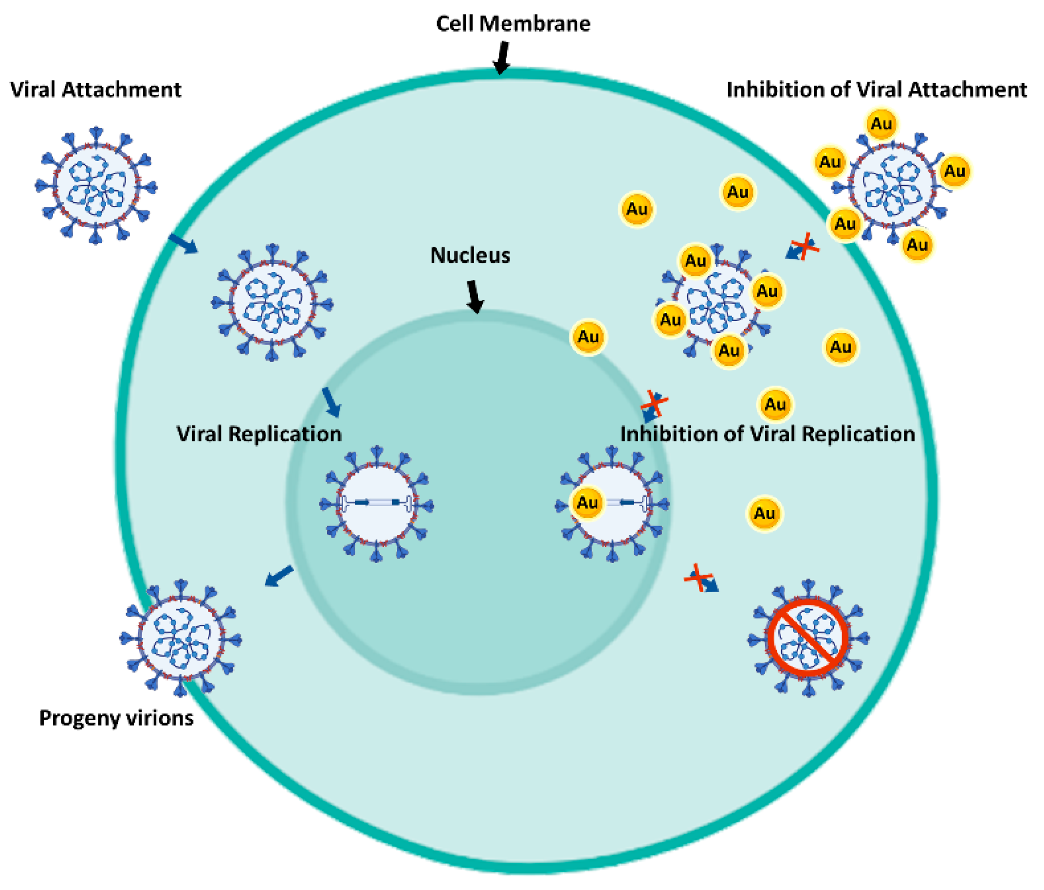 Ijms 23 01165 g001 550