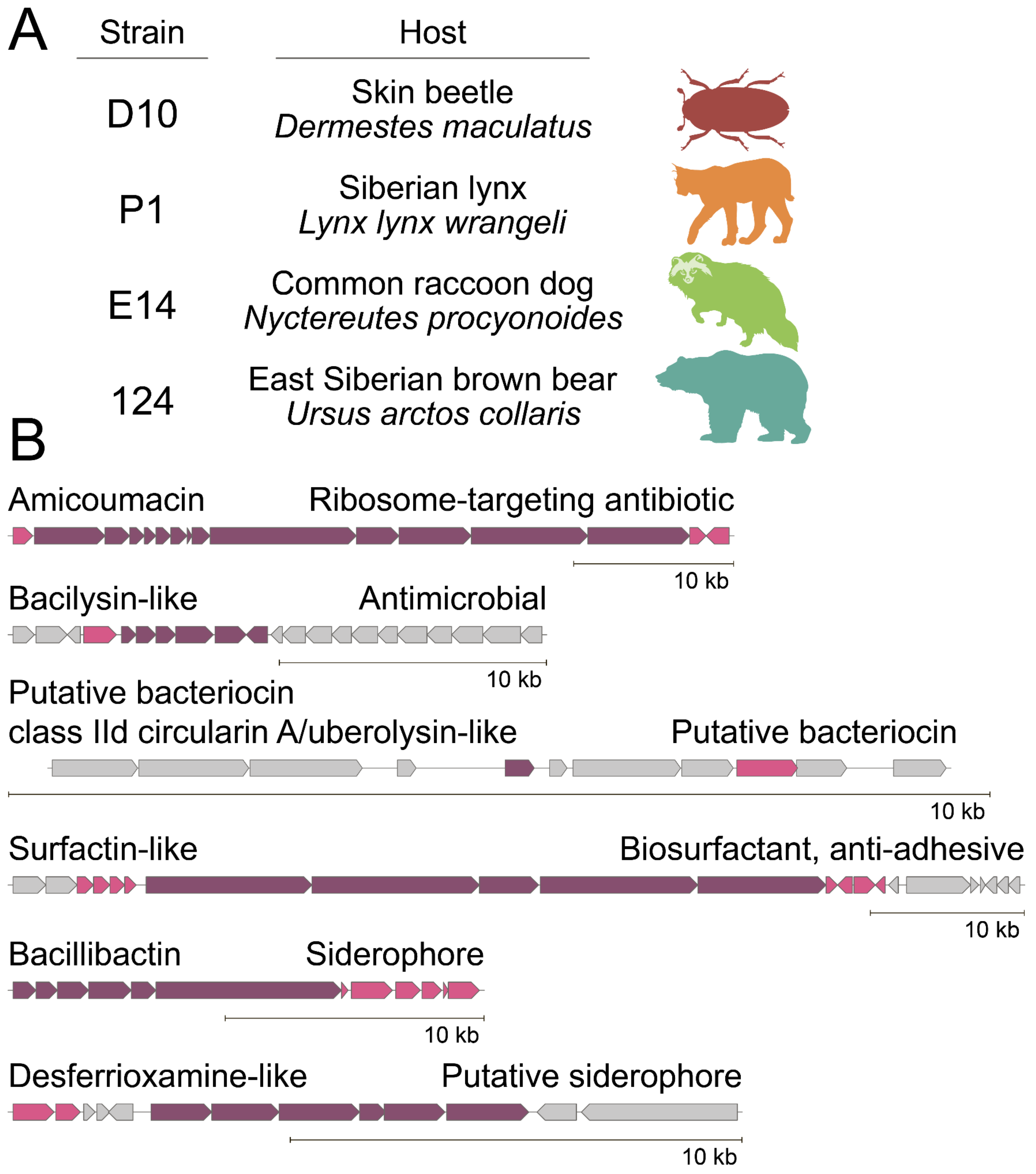 Ijms 23 01168 g002 550