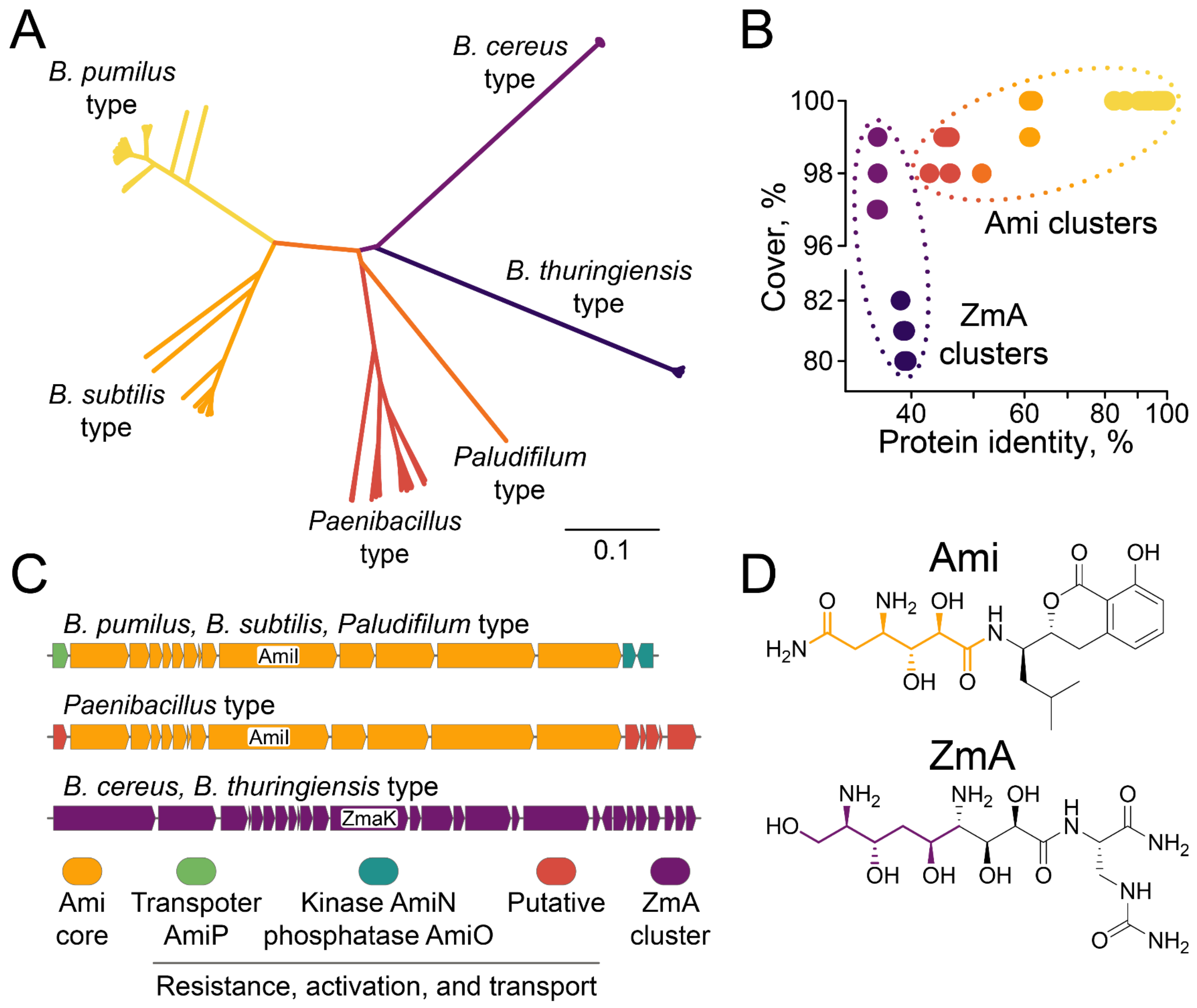 Ijms 23 01168 g005 550