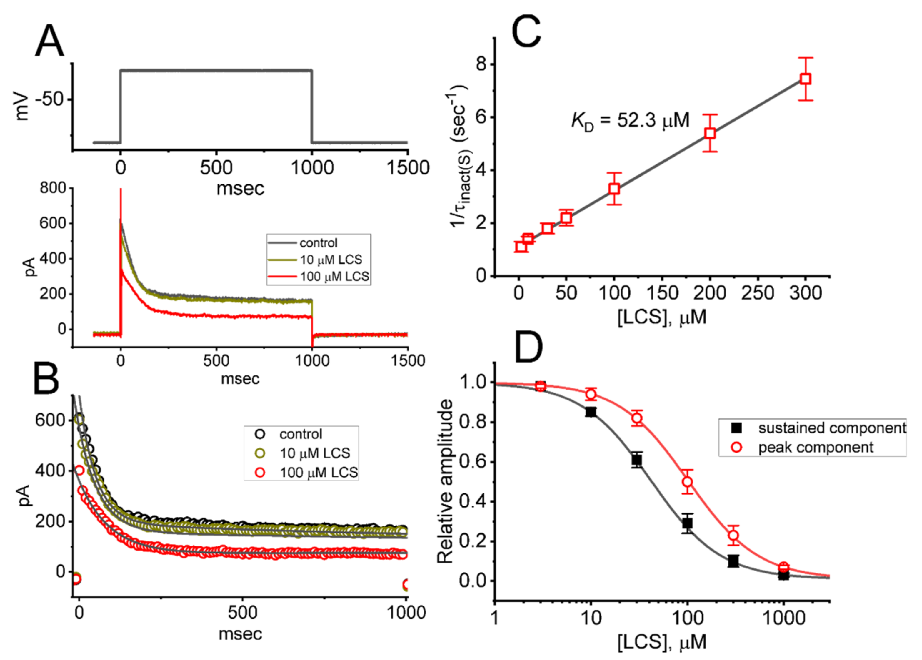 Ijms 23 01171 g001 Ijms 23 01171 g001