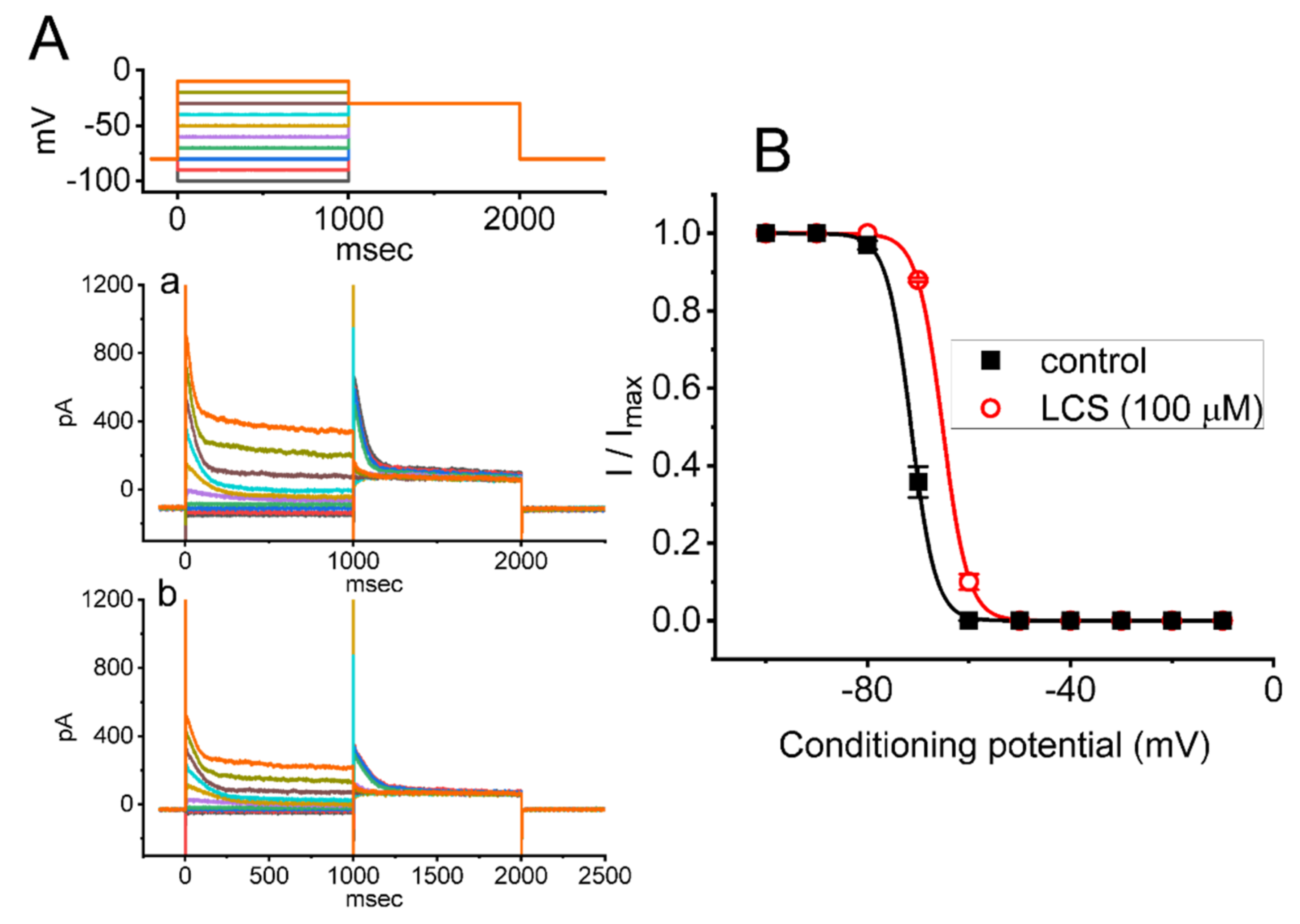 Ijms 23 01171 g004 Ijms 23 01171 g004
