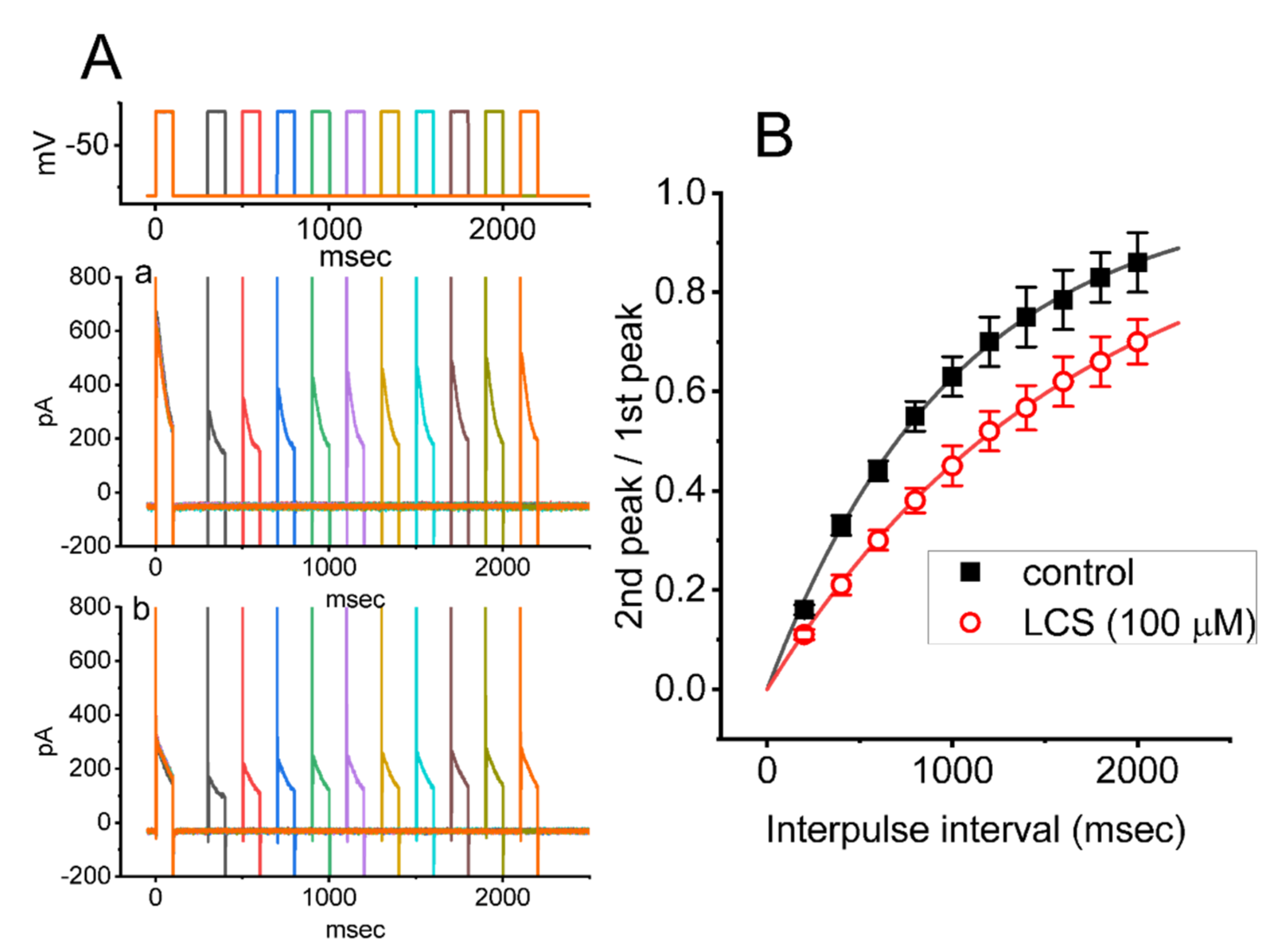 Ijms 23 01171 g005 Ijms 23 01171 g005