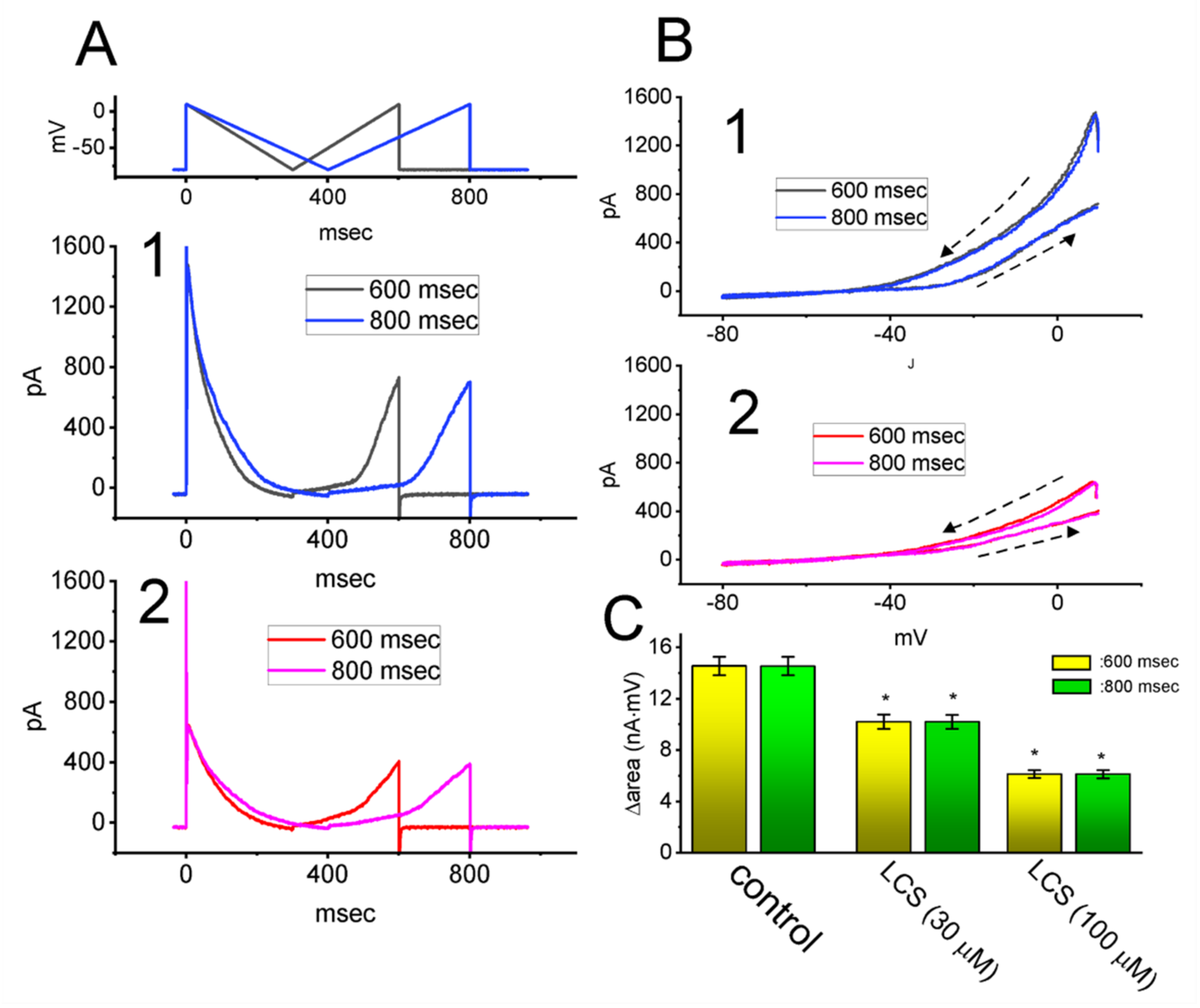 Ijms 23 01171 g006 Ijms 23 01171 g006