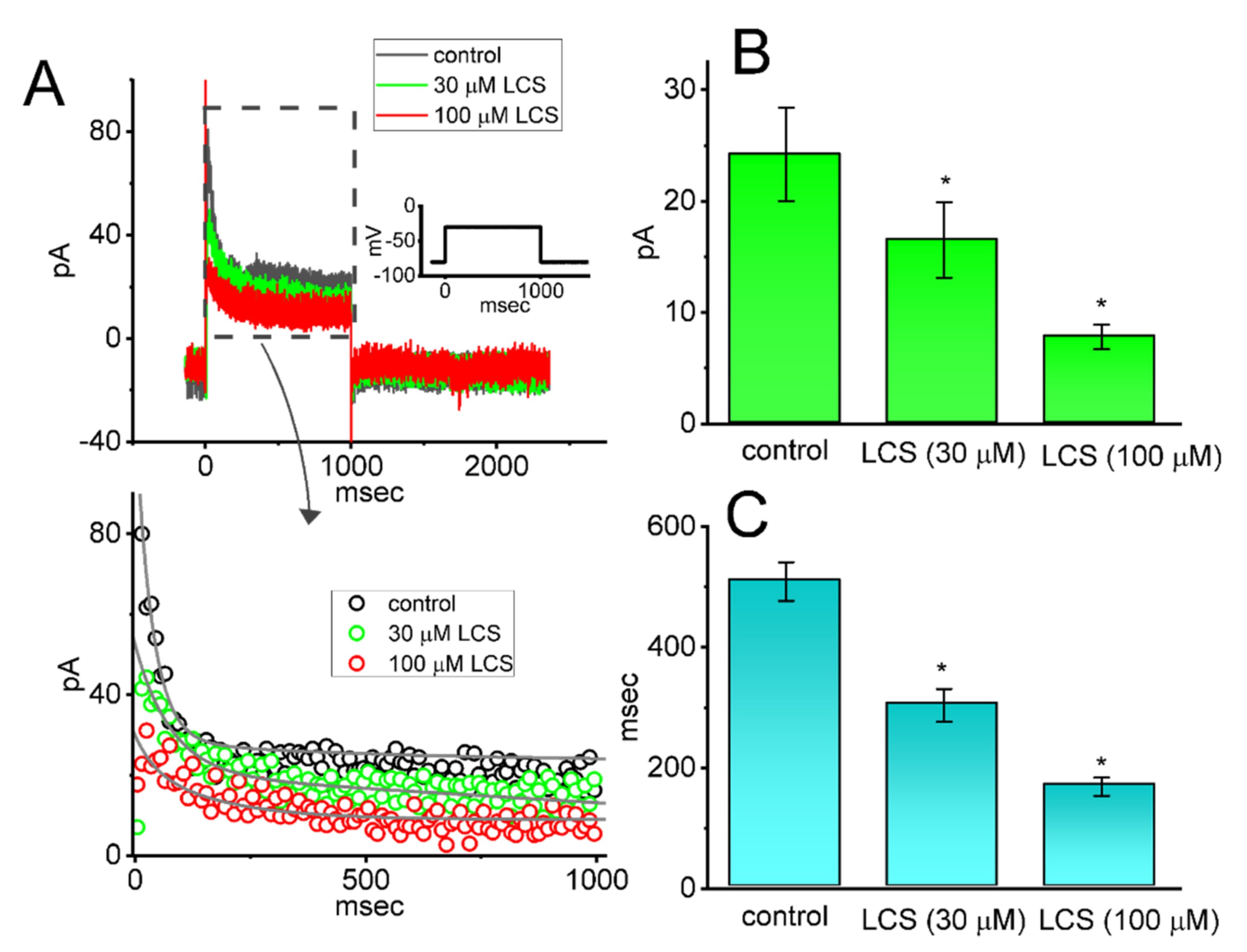 Ijms 23 01171 g007 Ijms 23 01171 g007