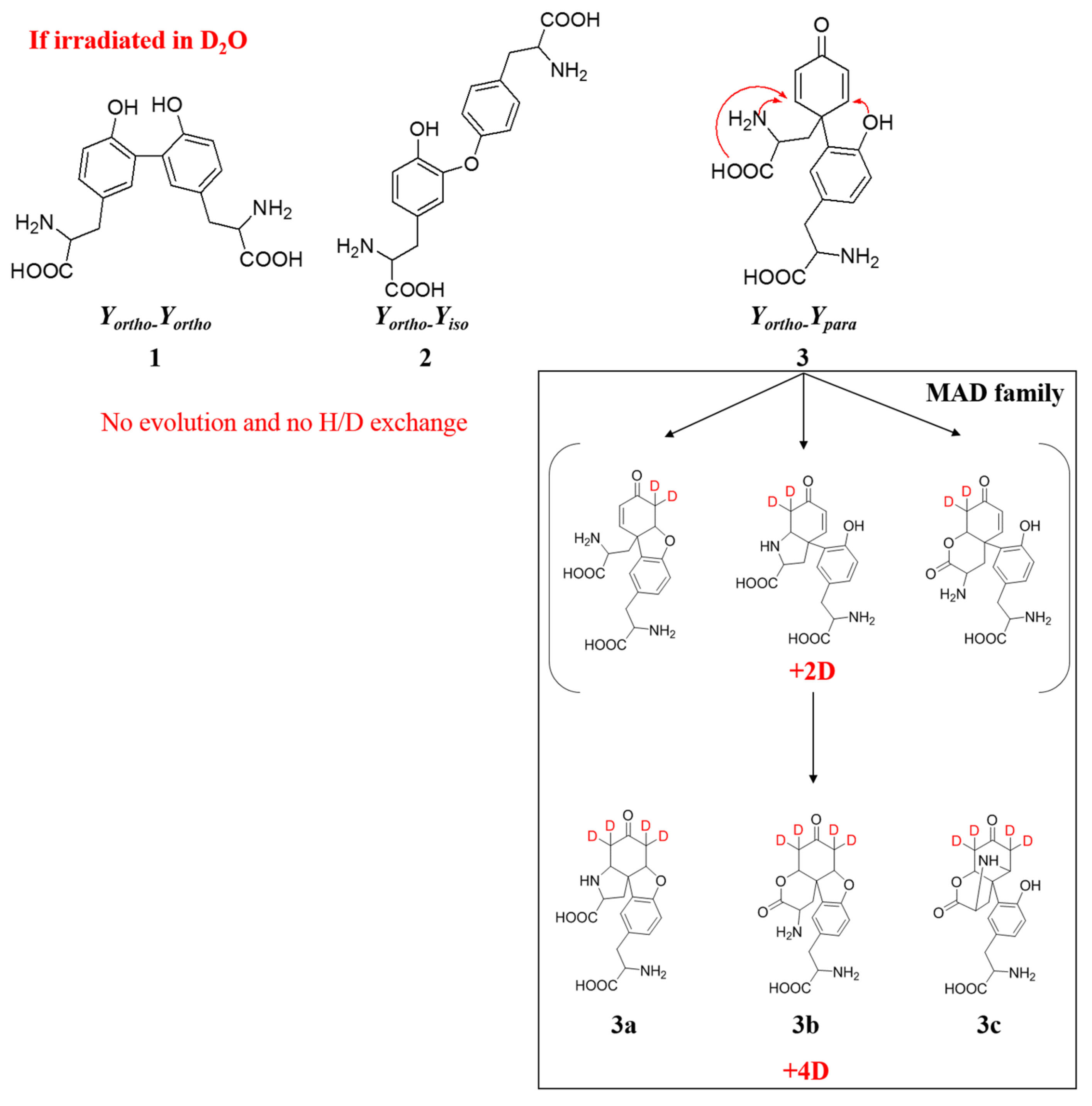 Ijms 23 01174 sch001