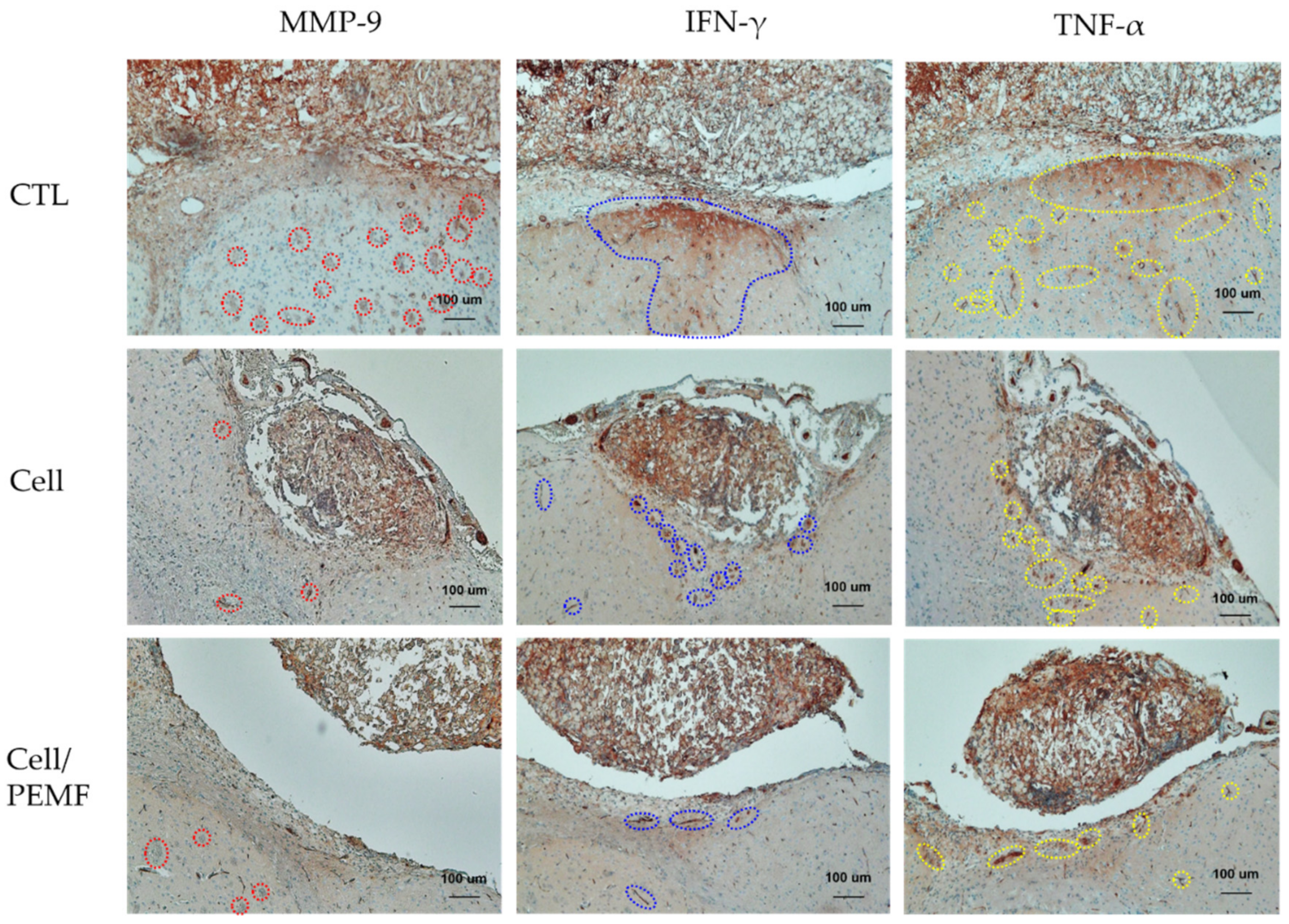 Ijms 23 01177 g007 550