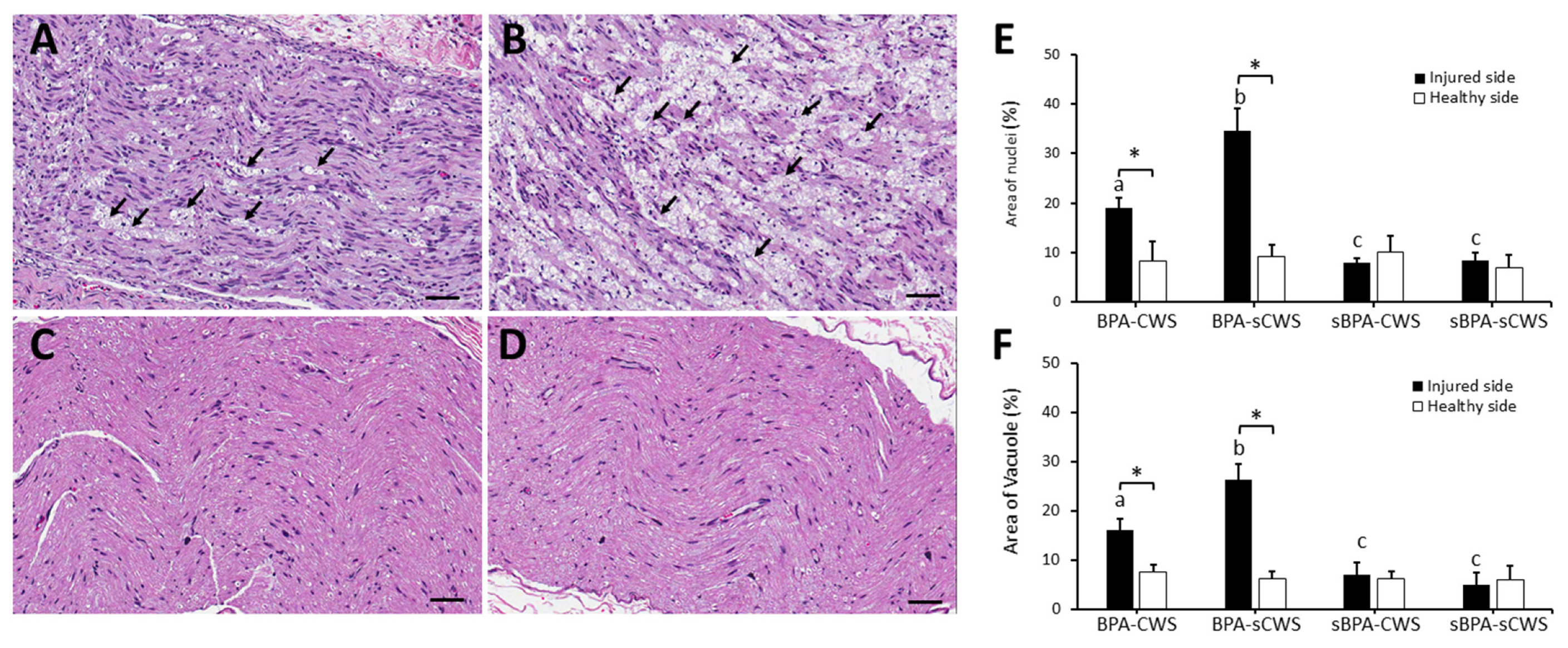 Ijms 23 01178 g002 Ijms 23 01178 g002