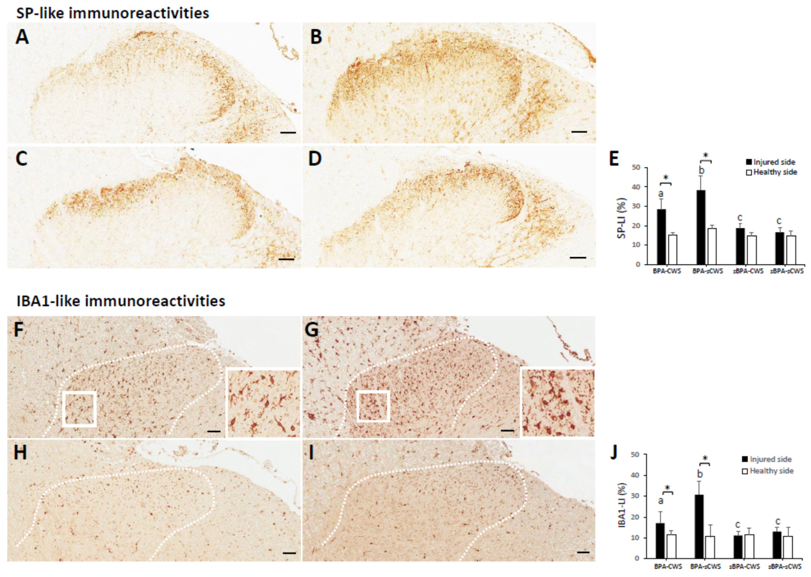 Ijms 23 01178 g003 Ijms 23 01178 g003
