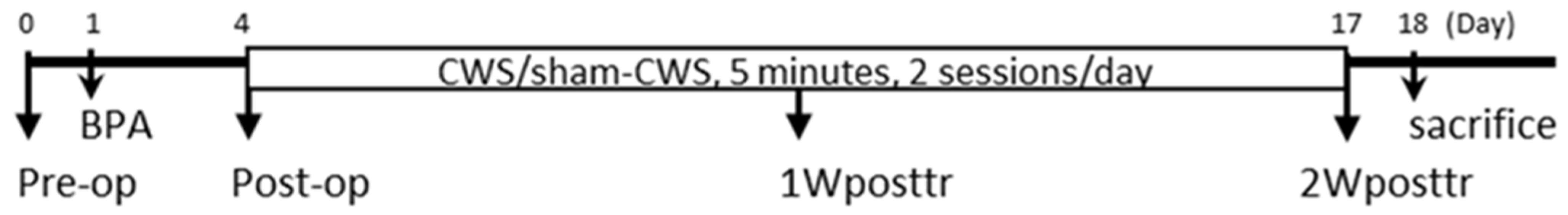 Ijms 23 01178 g004 Ijms 23 01178 g004