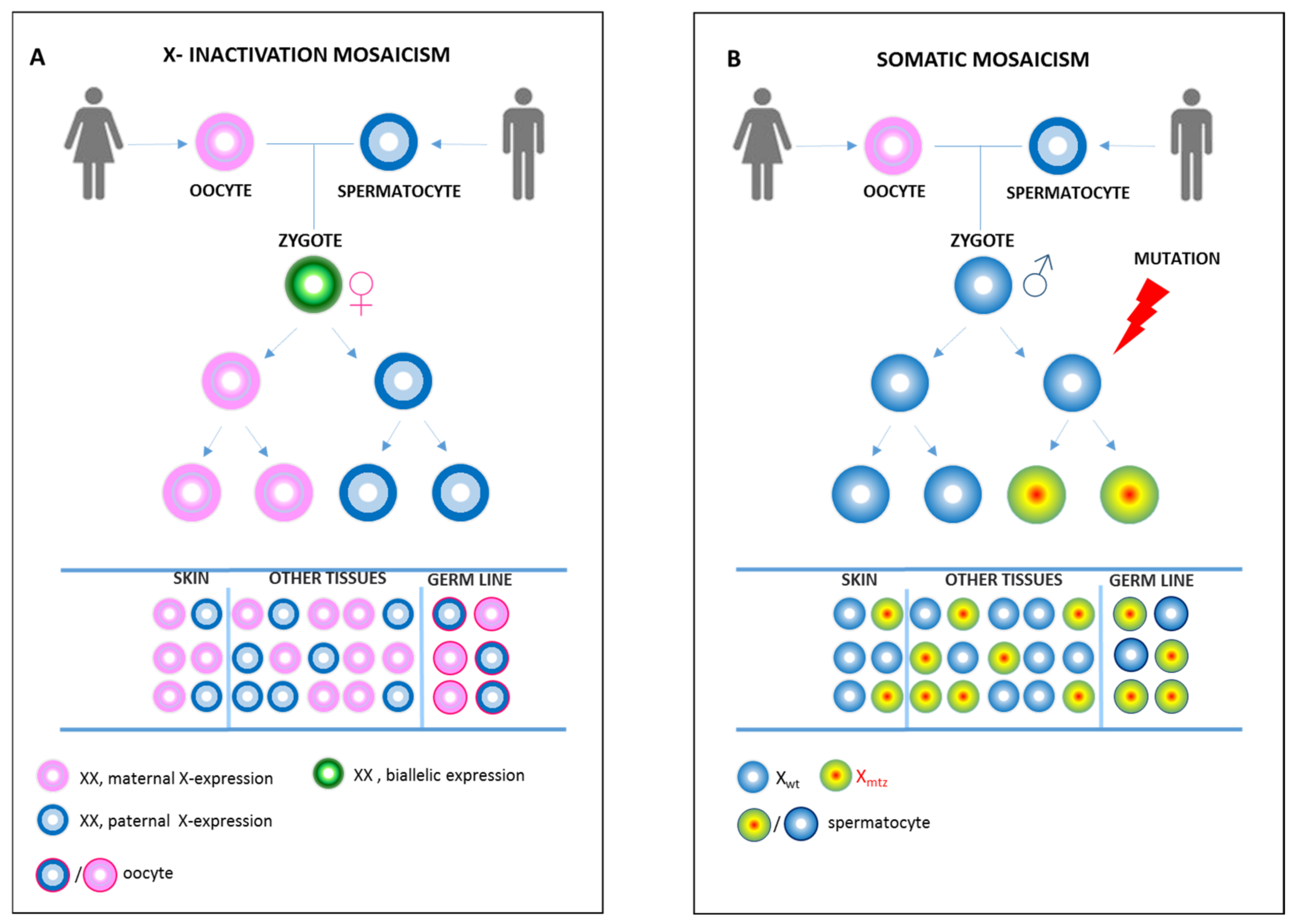 Ijms 23 01179 g001 550