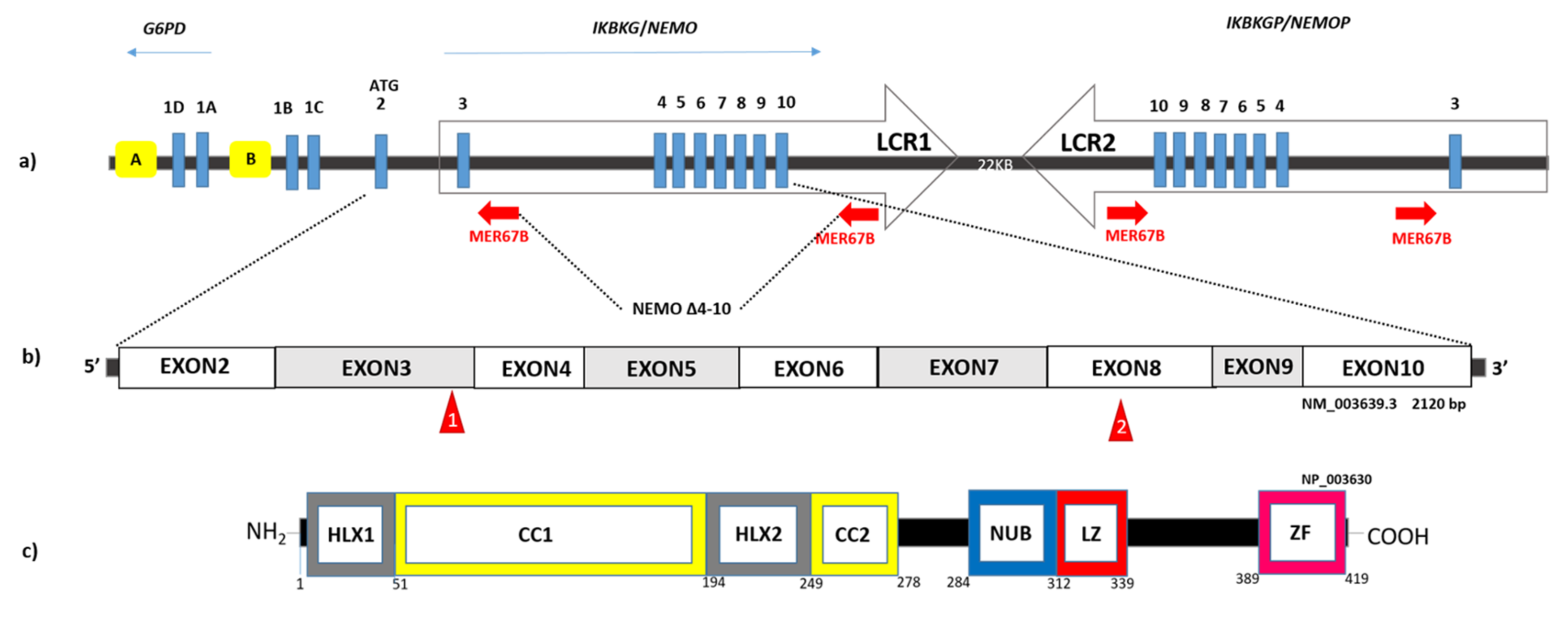 Ijms 23 01179 g002 550