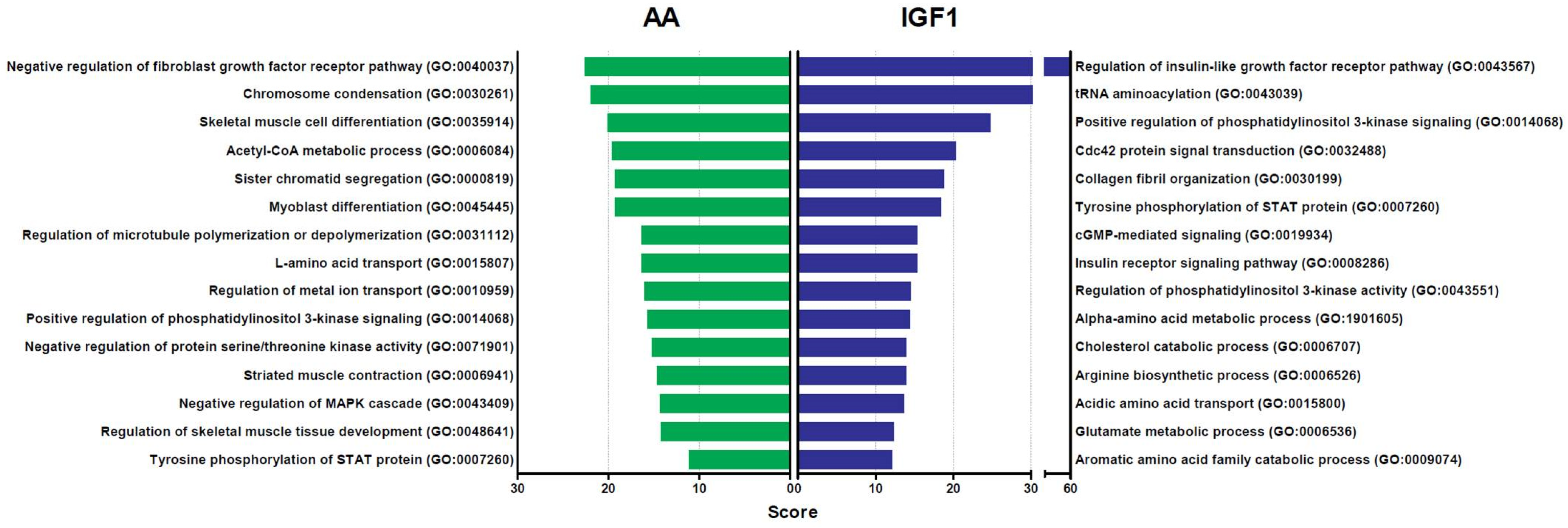 Ijms 23 01180 g004 Ijms 23 01180 g004