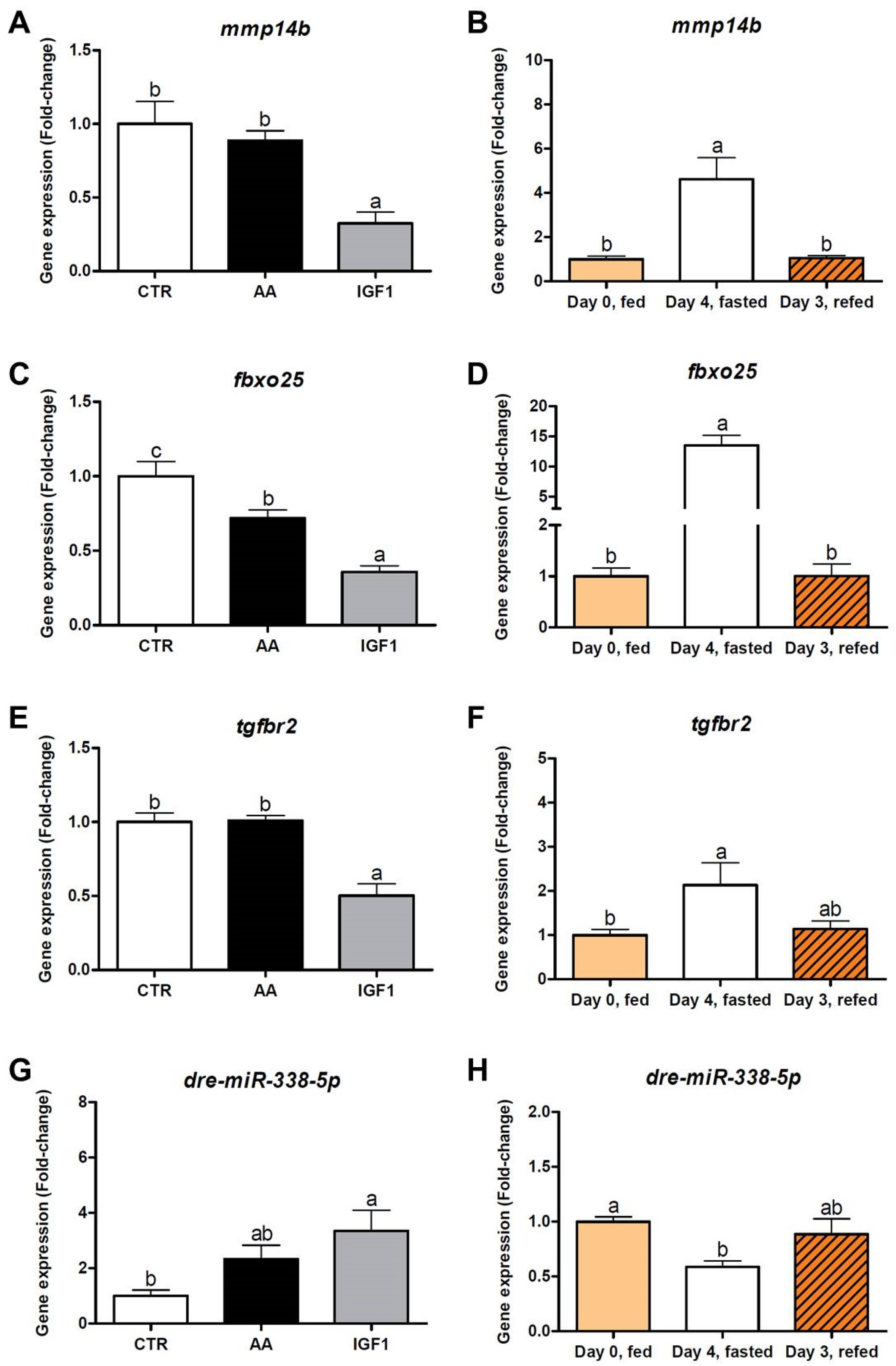Ijms 23 01180 g008 Ijms 23 01180 g008