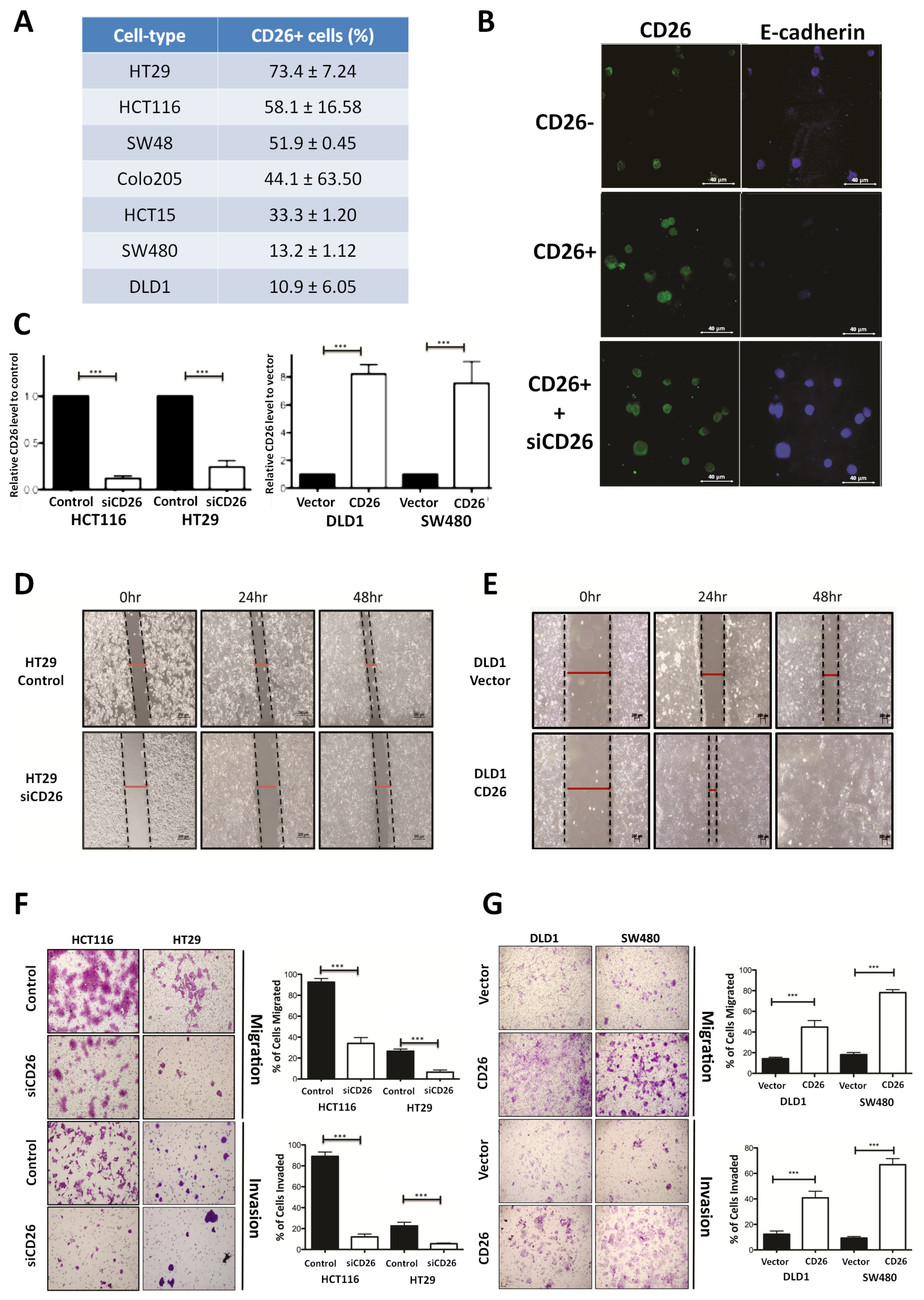 Ijms 23 01181 g001 Ijms 23 01181 g001