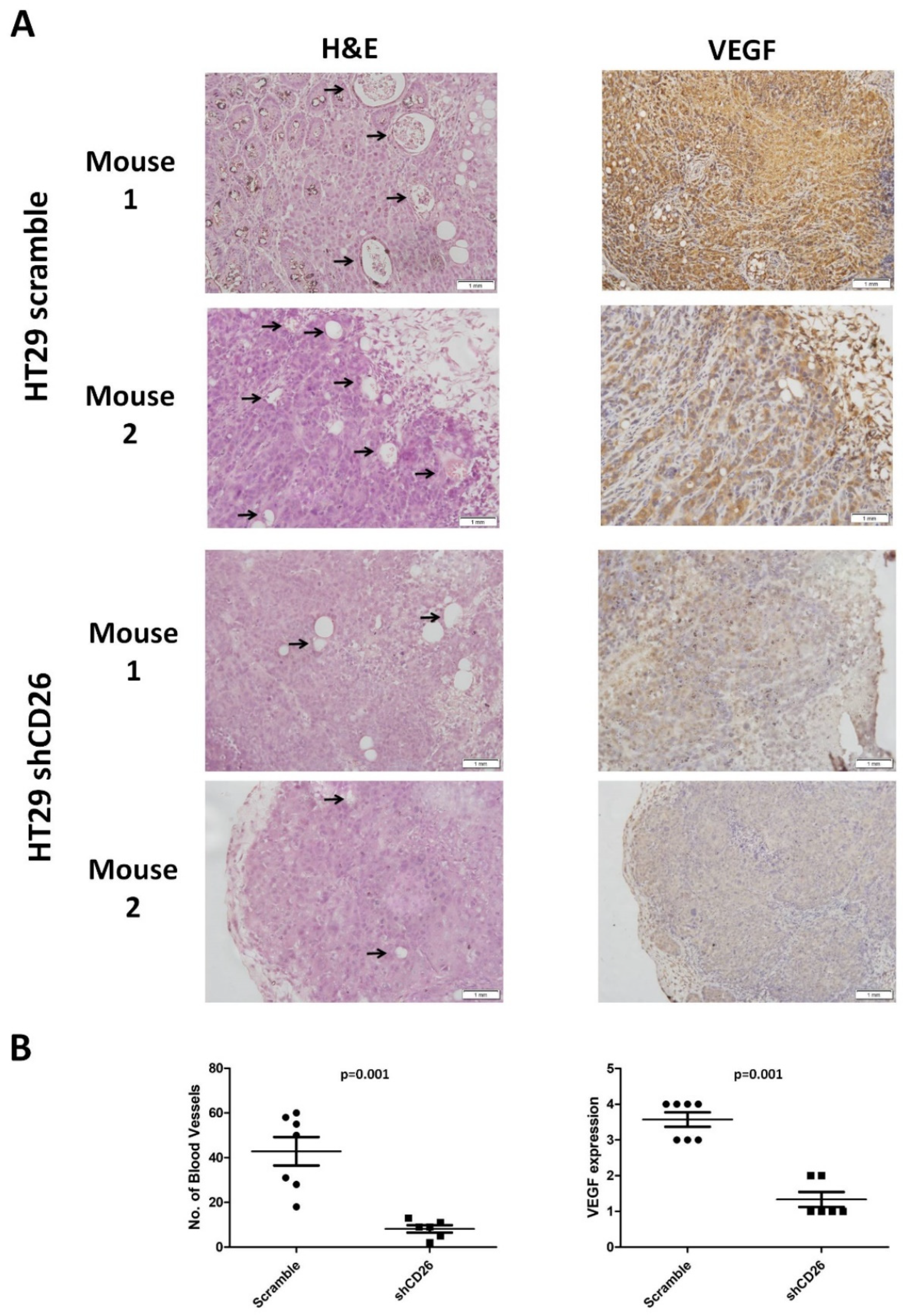 Ijms 23 01181 g003 Ijms 23 01181 g003