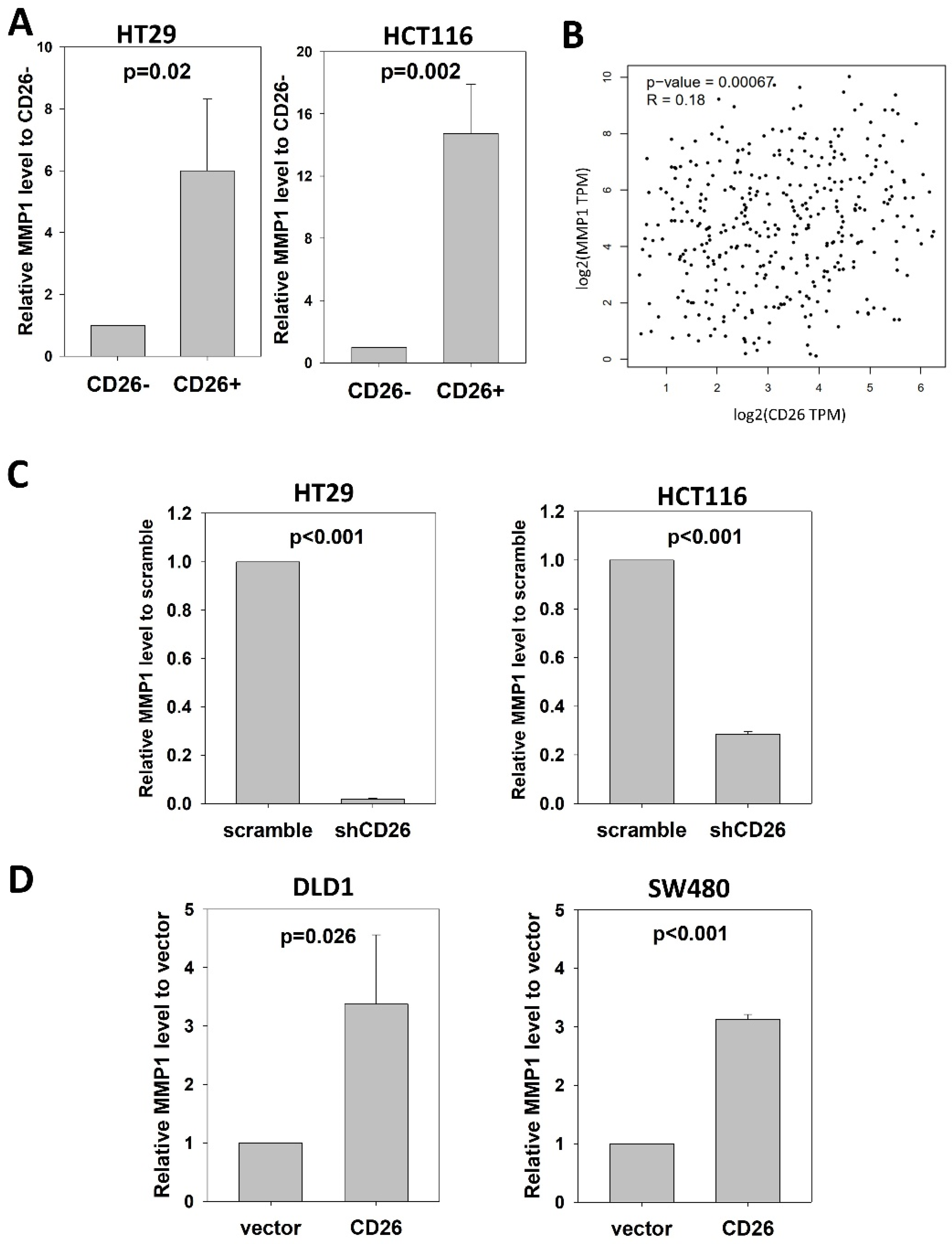 Ijms 23 01181 g004 Ijms 23 01181 g004