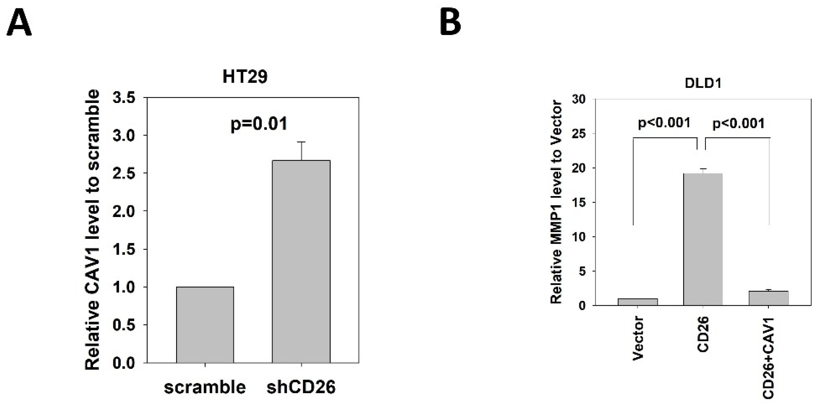 Ijms 23 01181 g005 Ijms 23 01181 g005