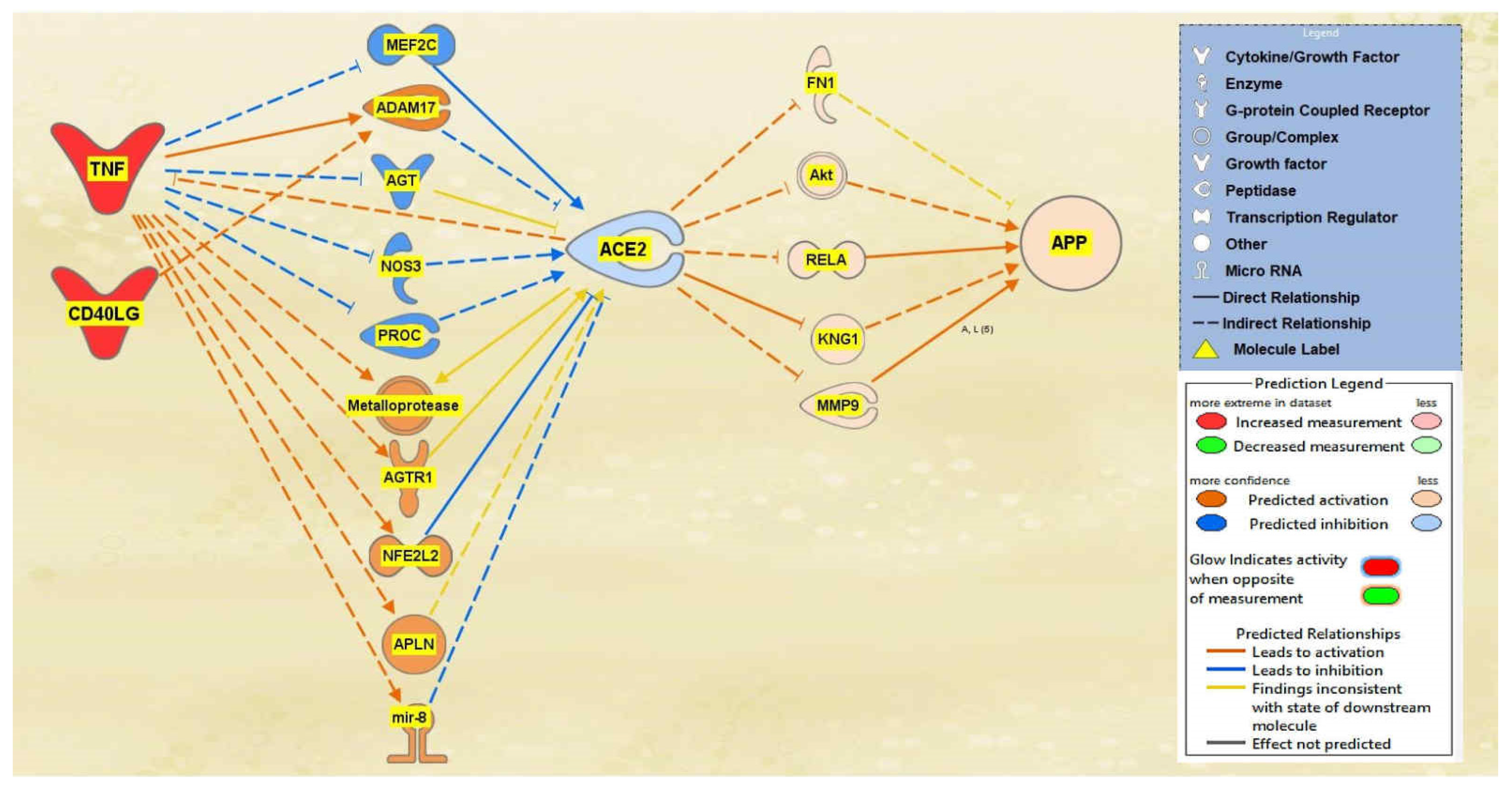 Ijms 23 01182 g002 550