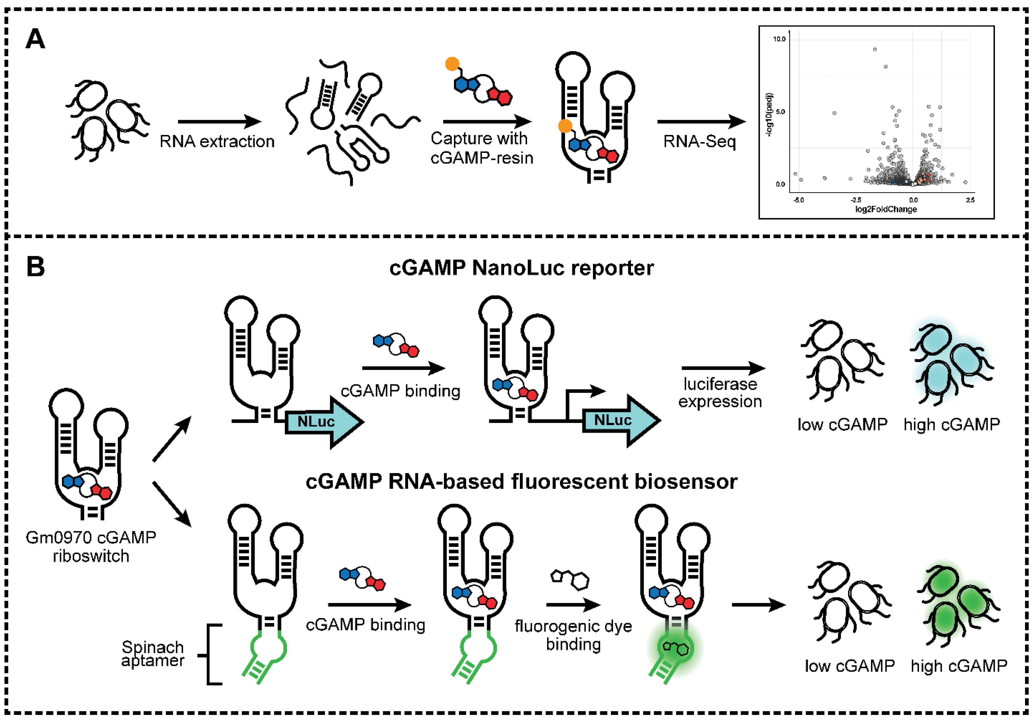 Ijms 23 01183 g001 550