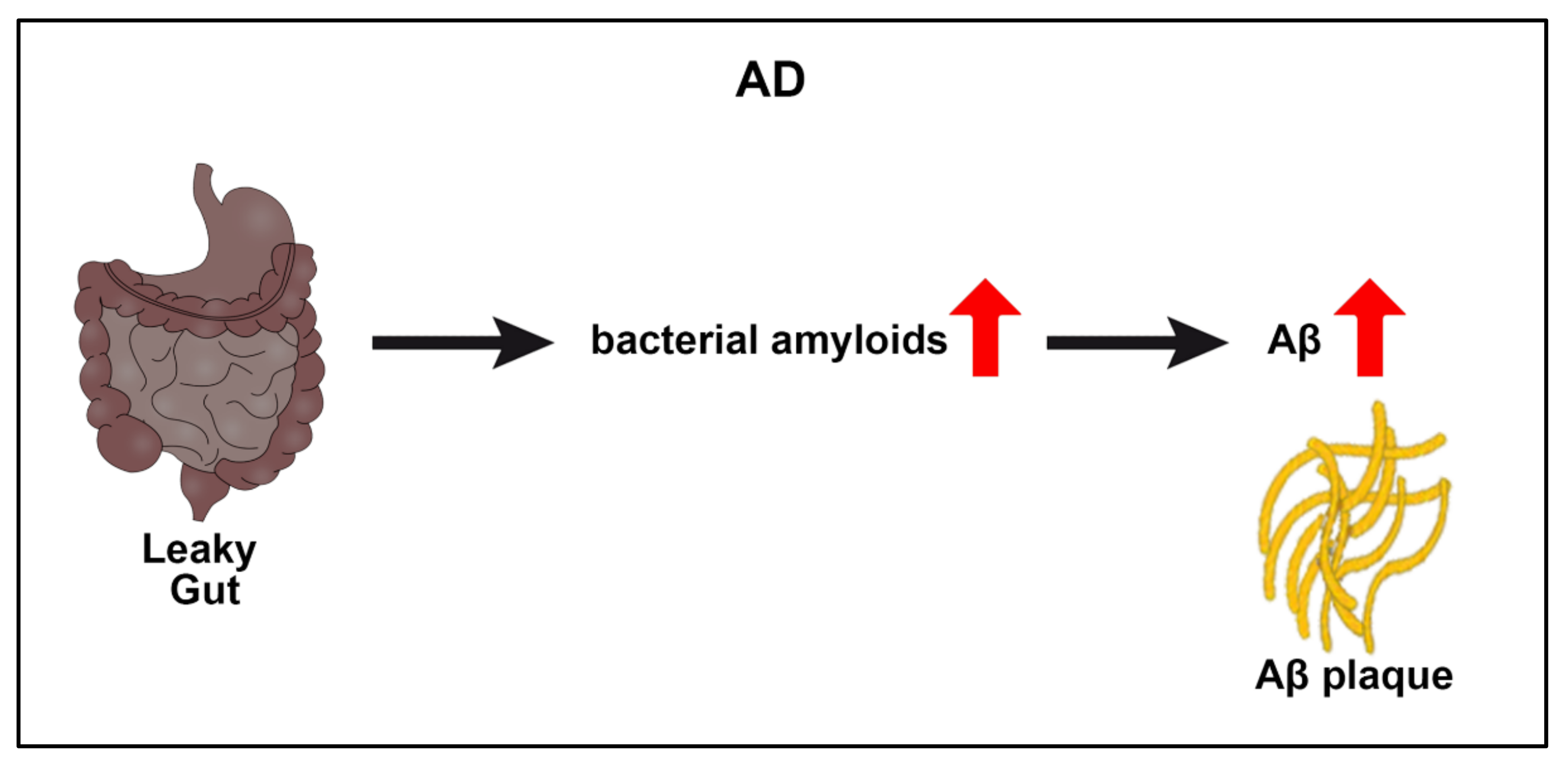Ijms 23 01184 g002 550