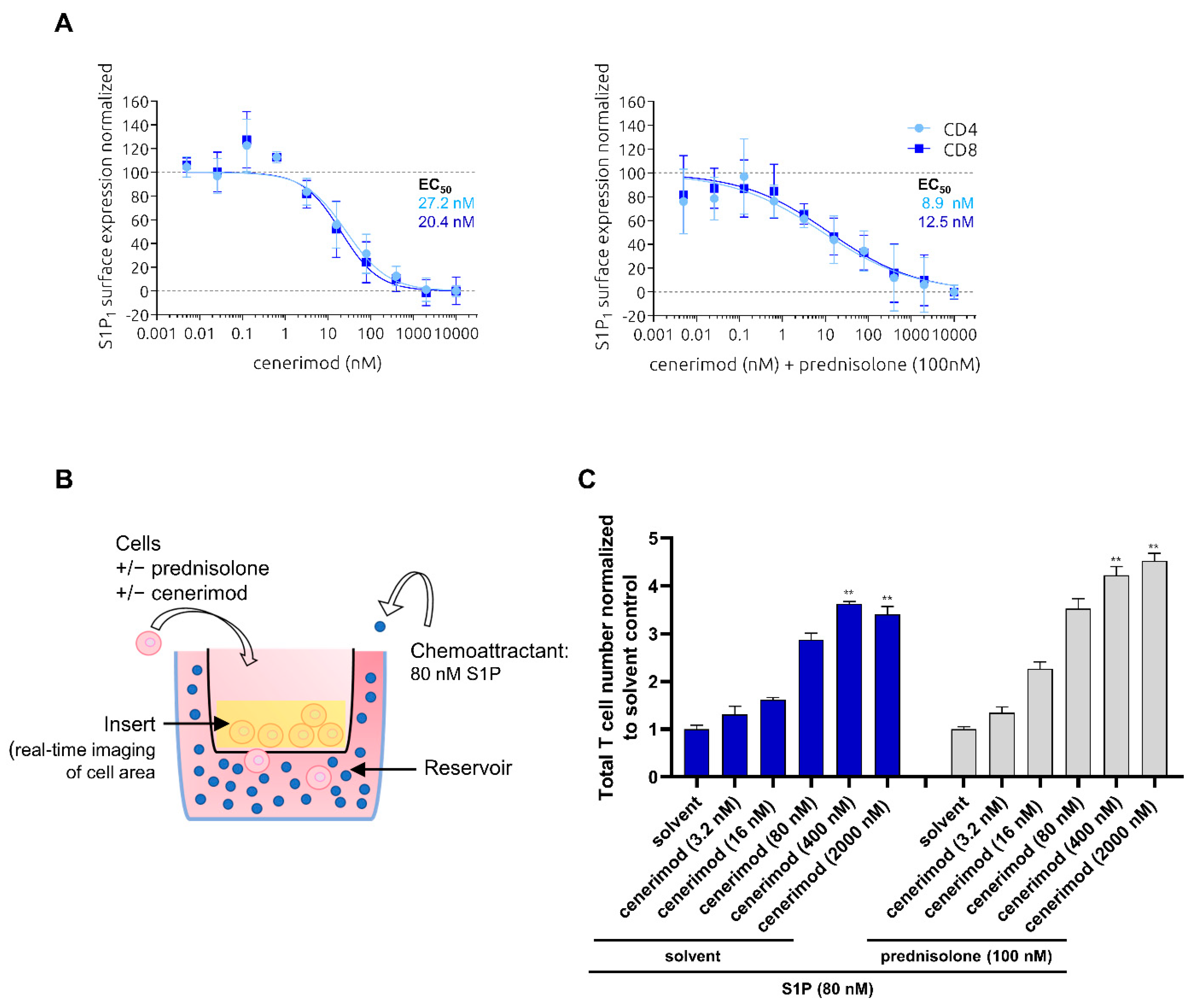 Ijms 23 01191 g003 550
