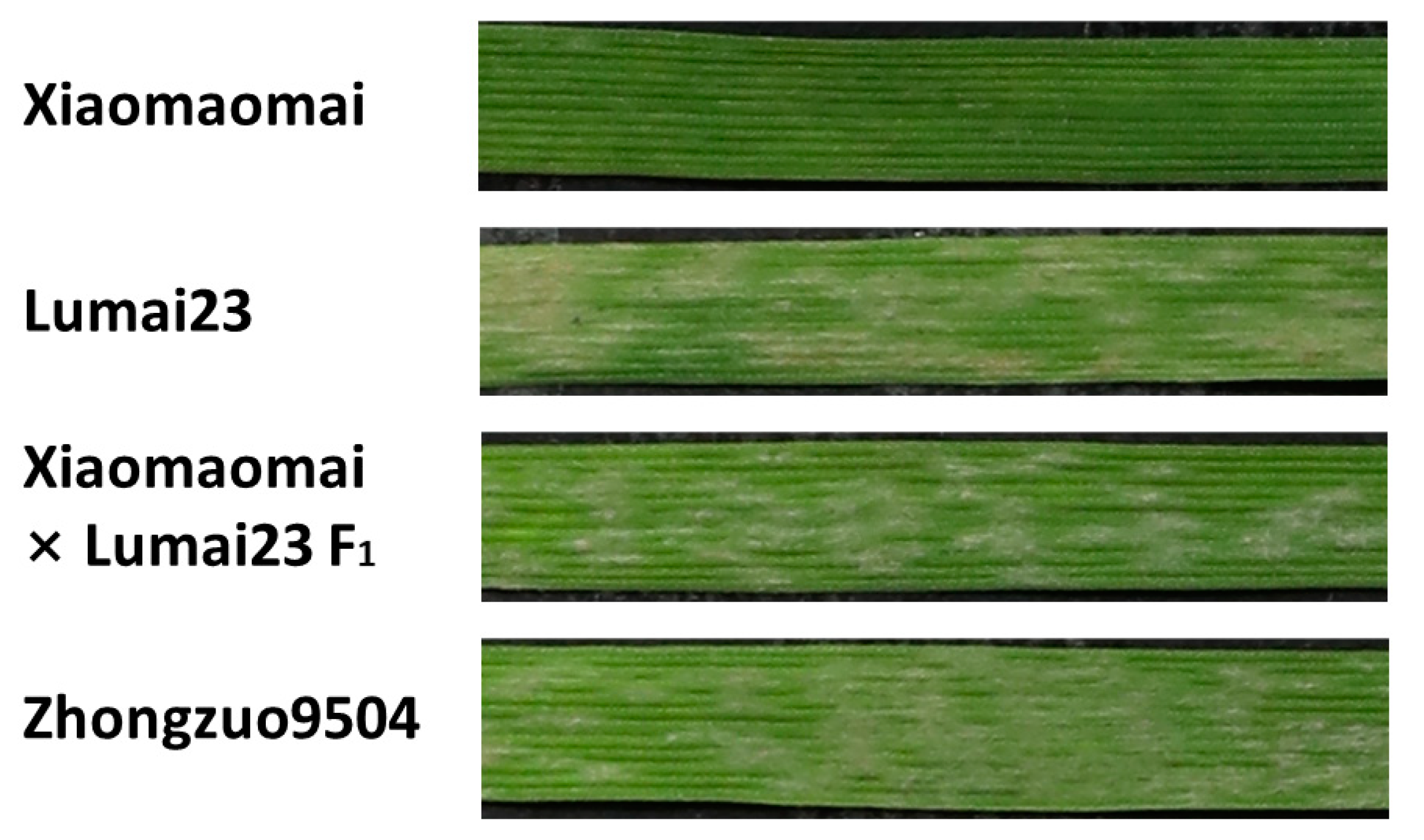 Ijms 23 01194 g001 550