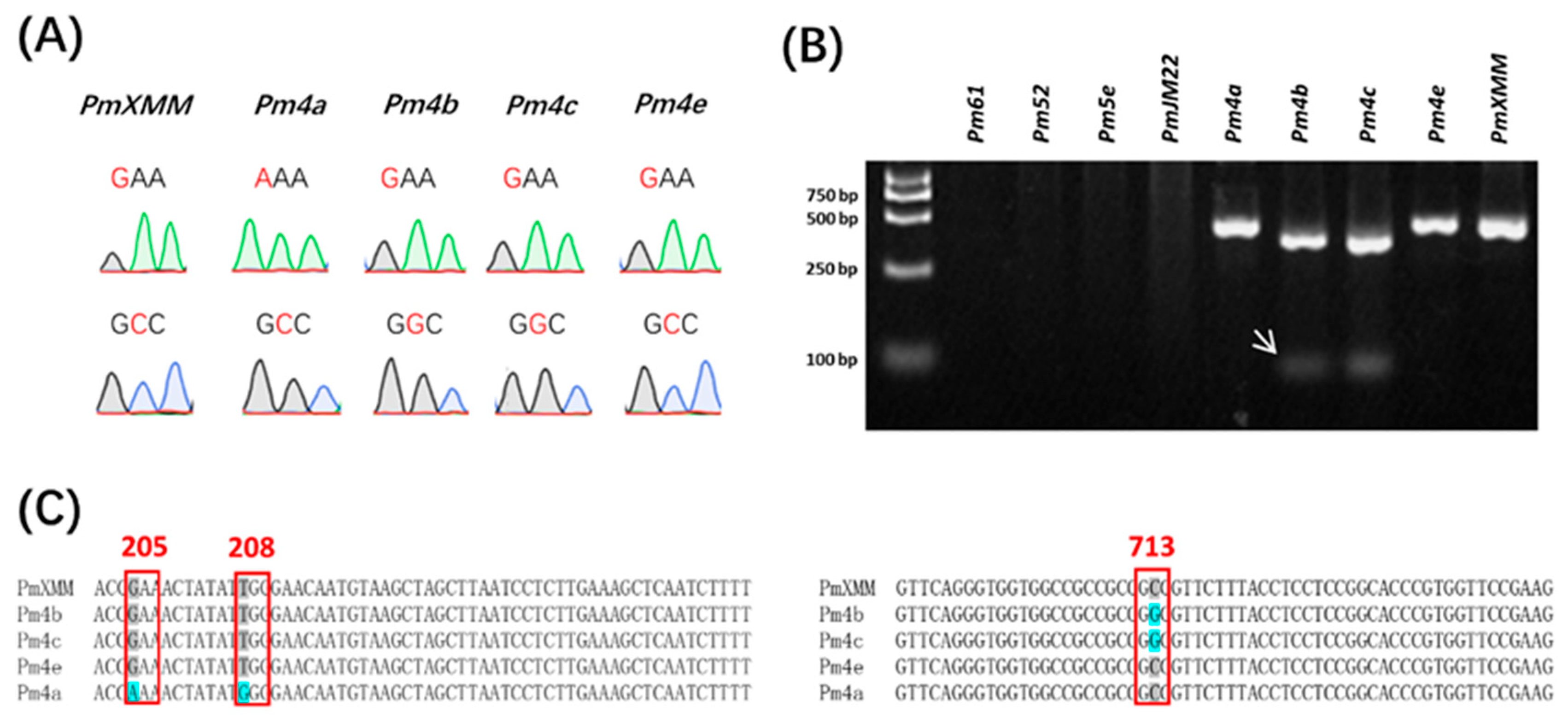Ijms 23 01194 g004 550