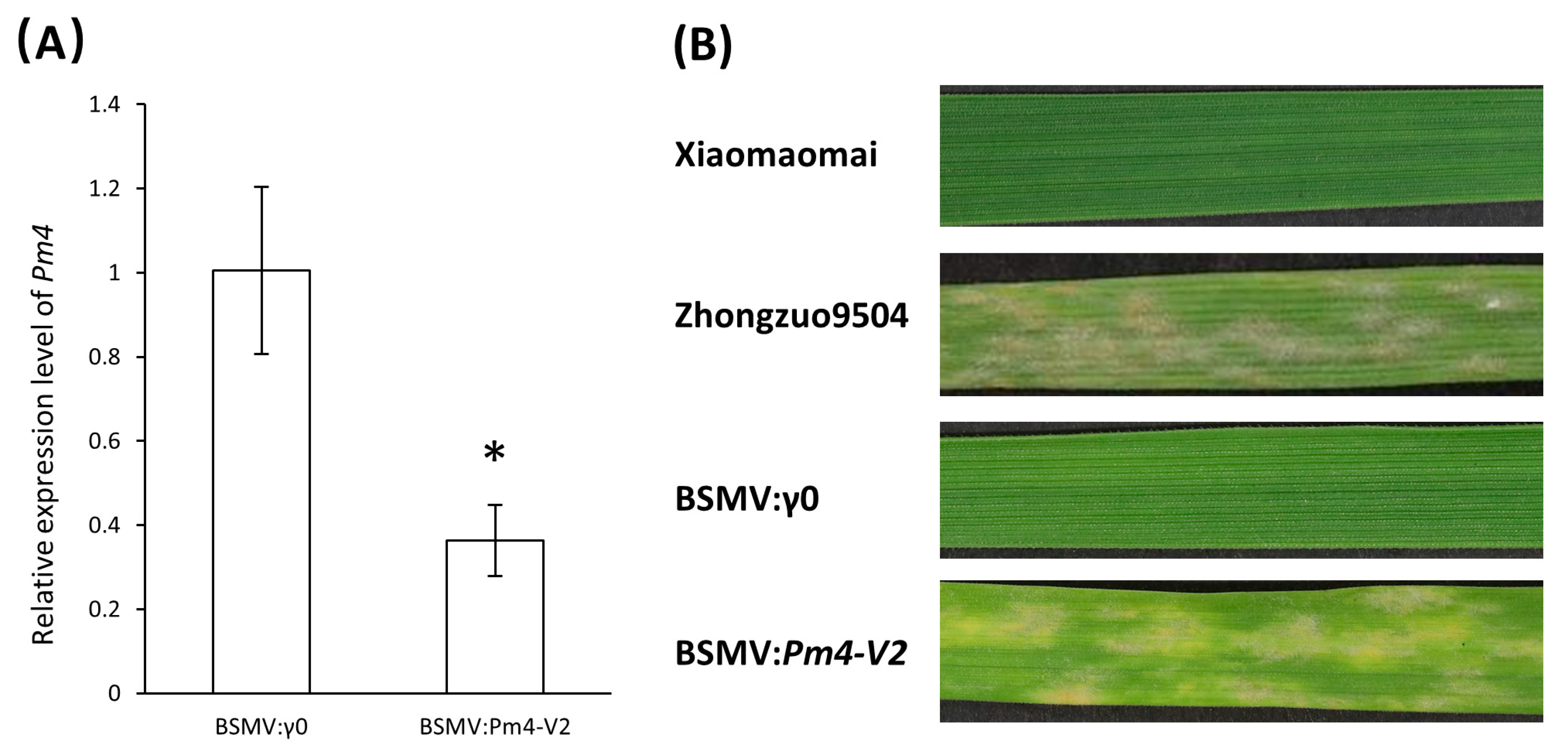 Ijms 23 01194 g005 550