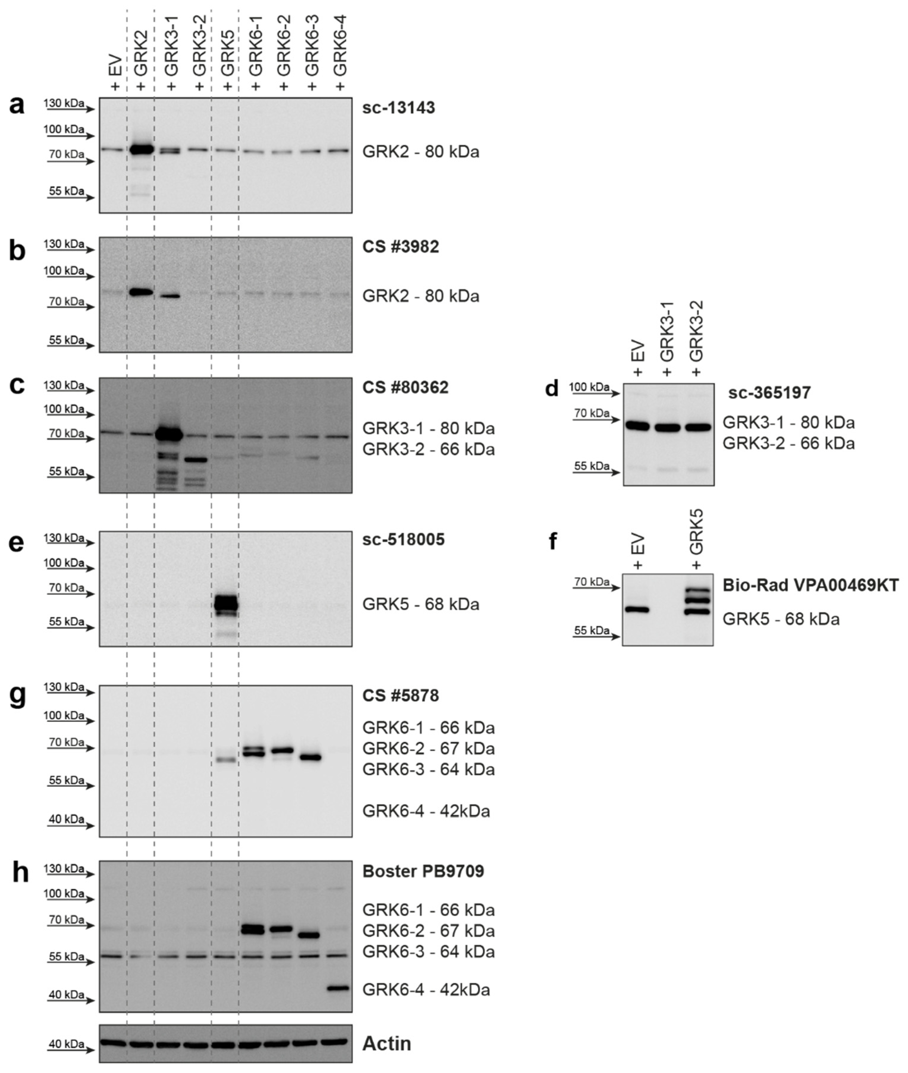 Ijms 23 01195 g001 550