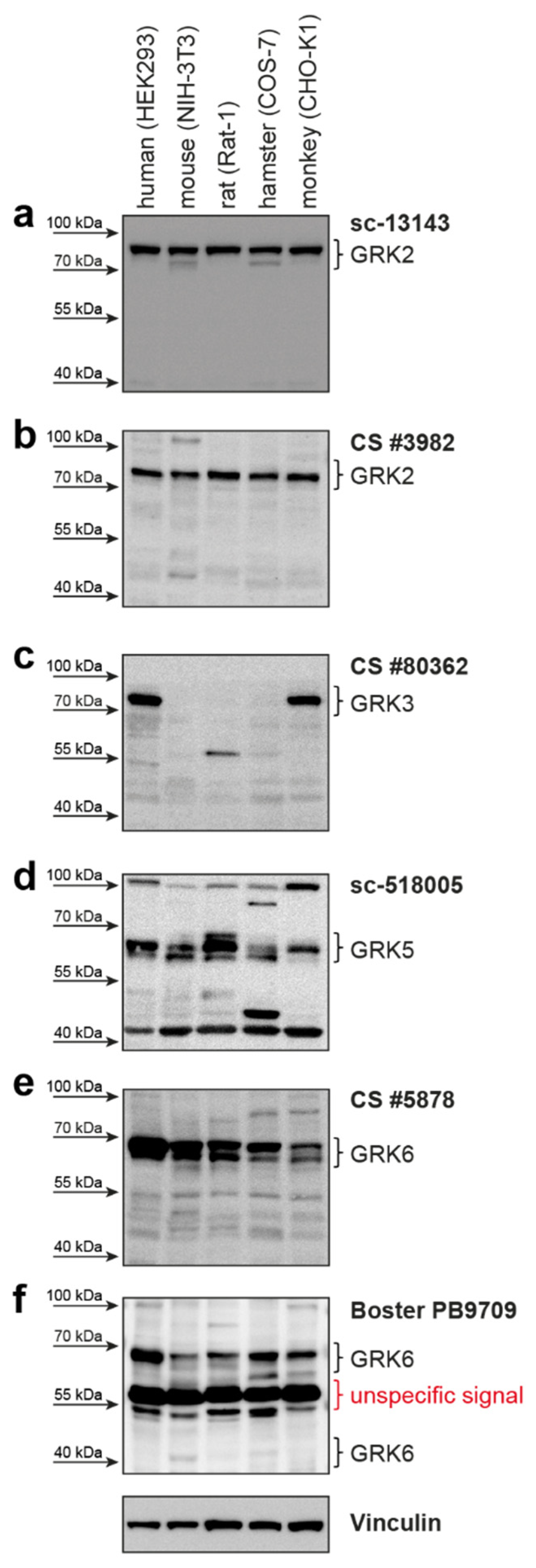 Ijms 23 01195 g002 550