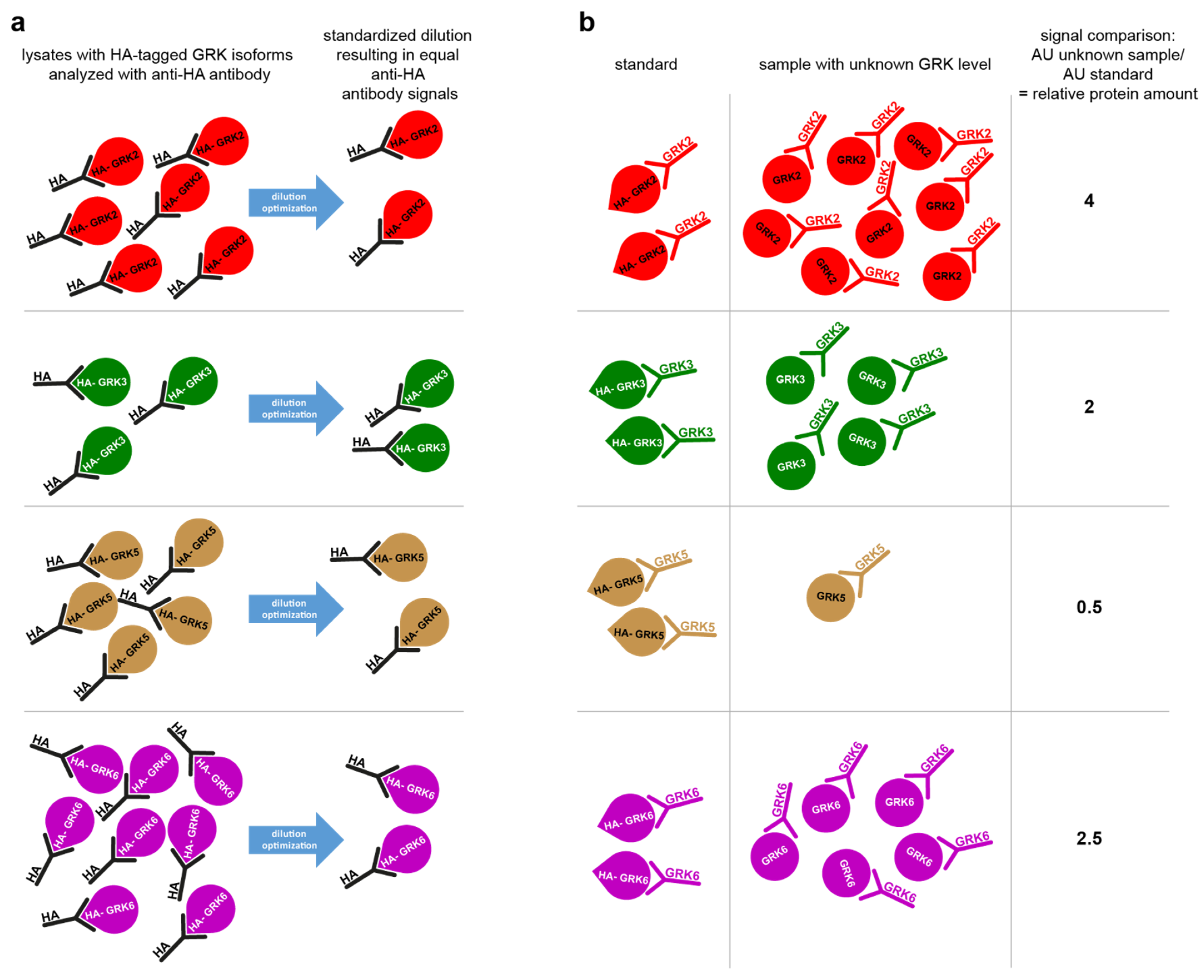 Ijms 23 01195 g003 550