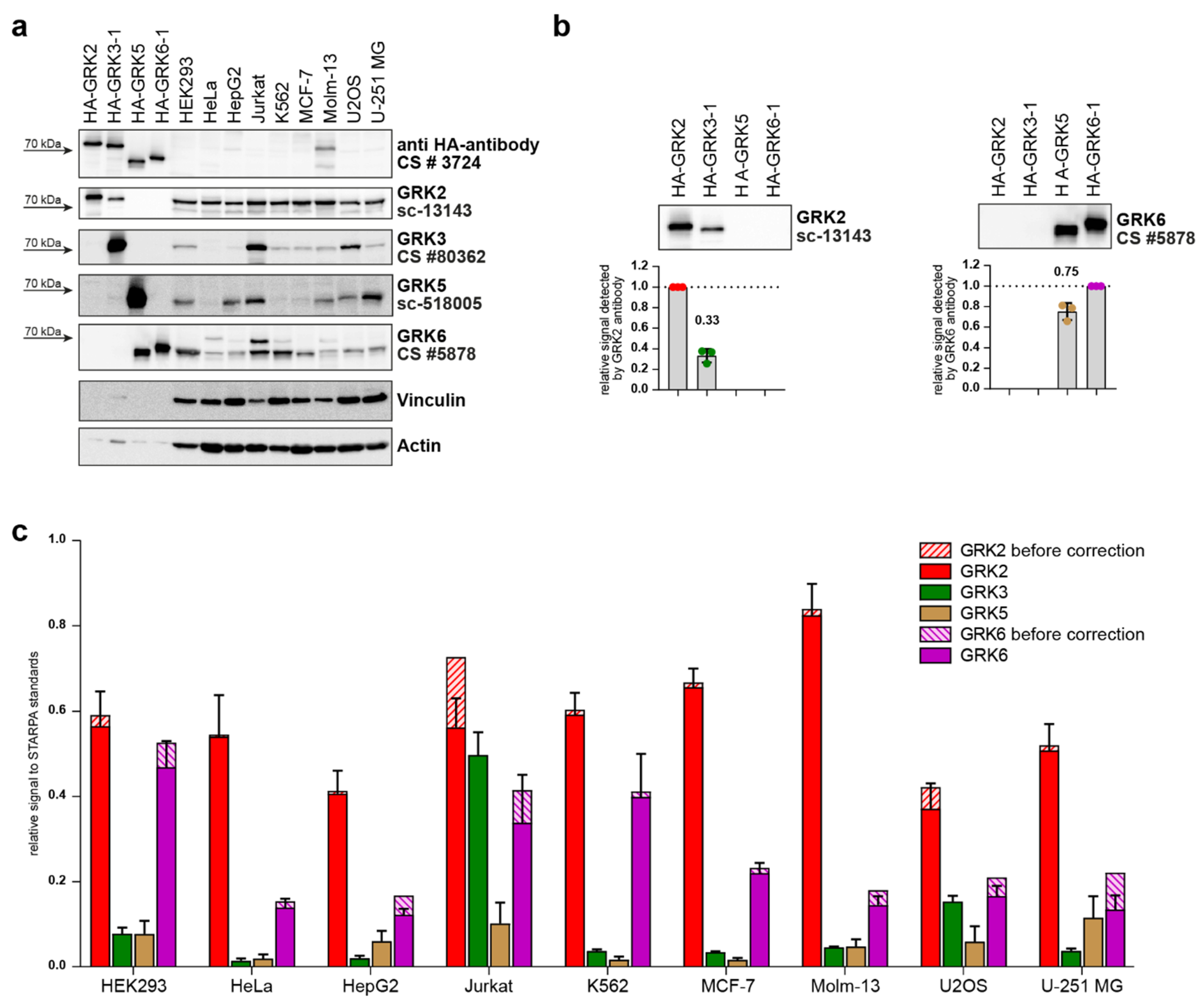 Ijms 23 01195 g005 550