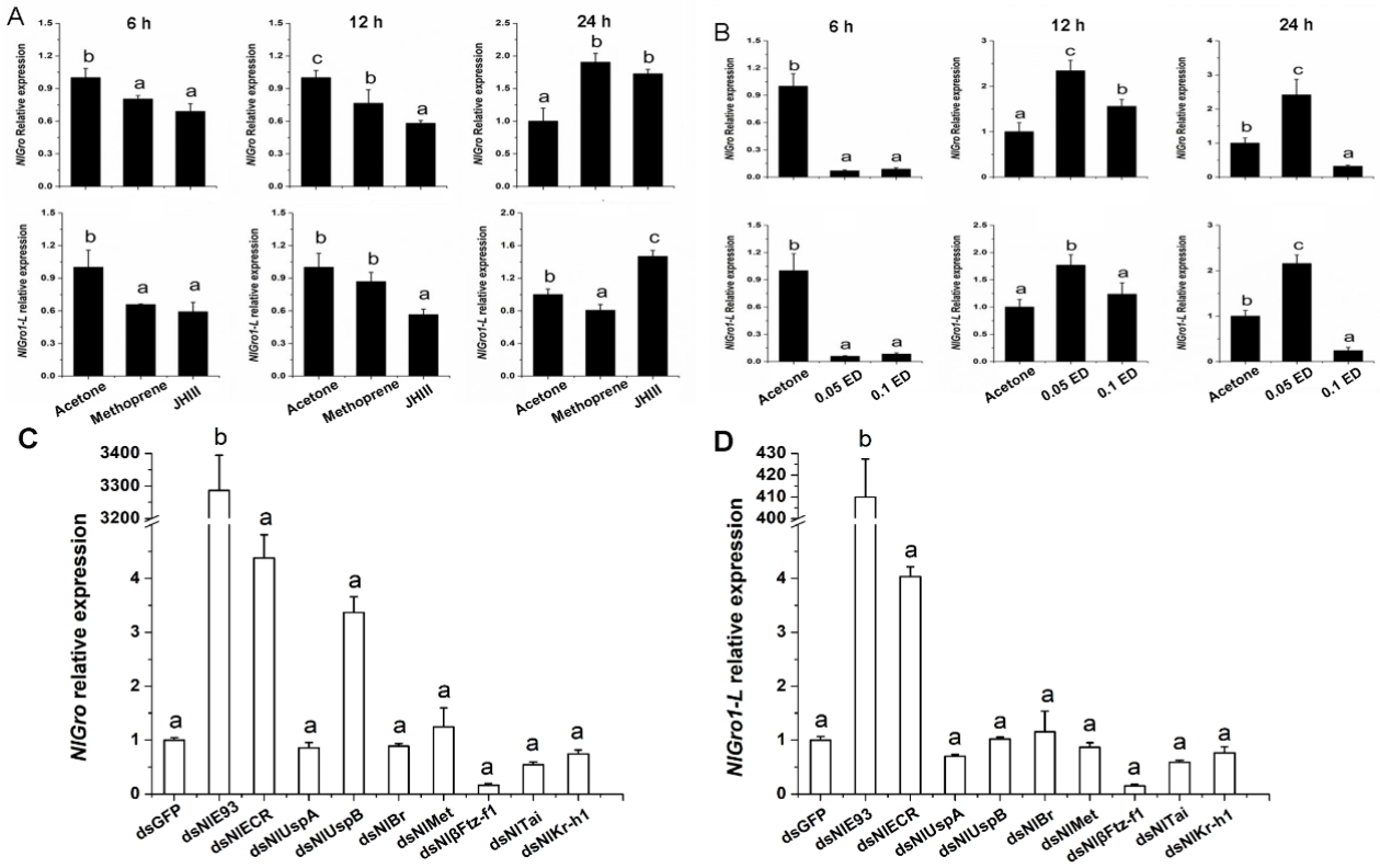 Ijms 23 01197 g003 Ijms 23 01197 g003