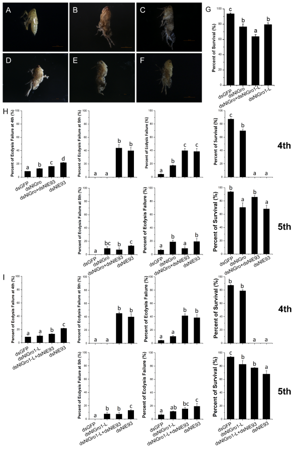Ijms 23 01197 g004 Ijms 23 01197 g004