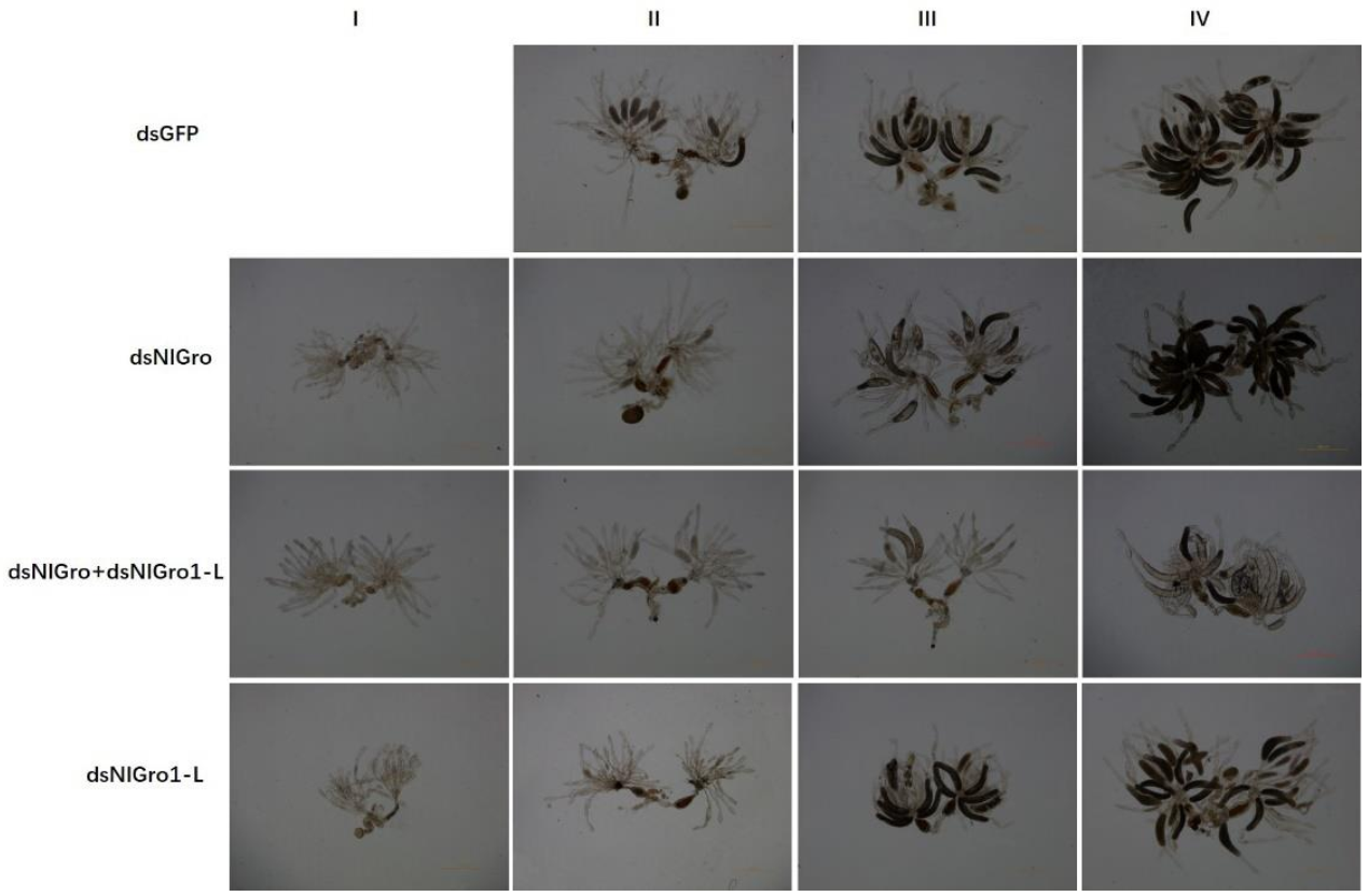 Ijms 23 01197 g005 Ijms 23 01197 g005