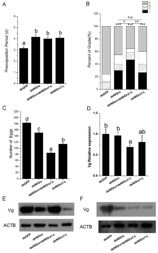 Ijms 23 01197 g006 Ijms 23 01197 g006