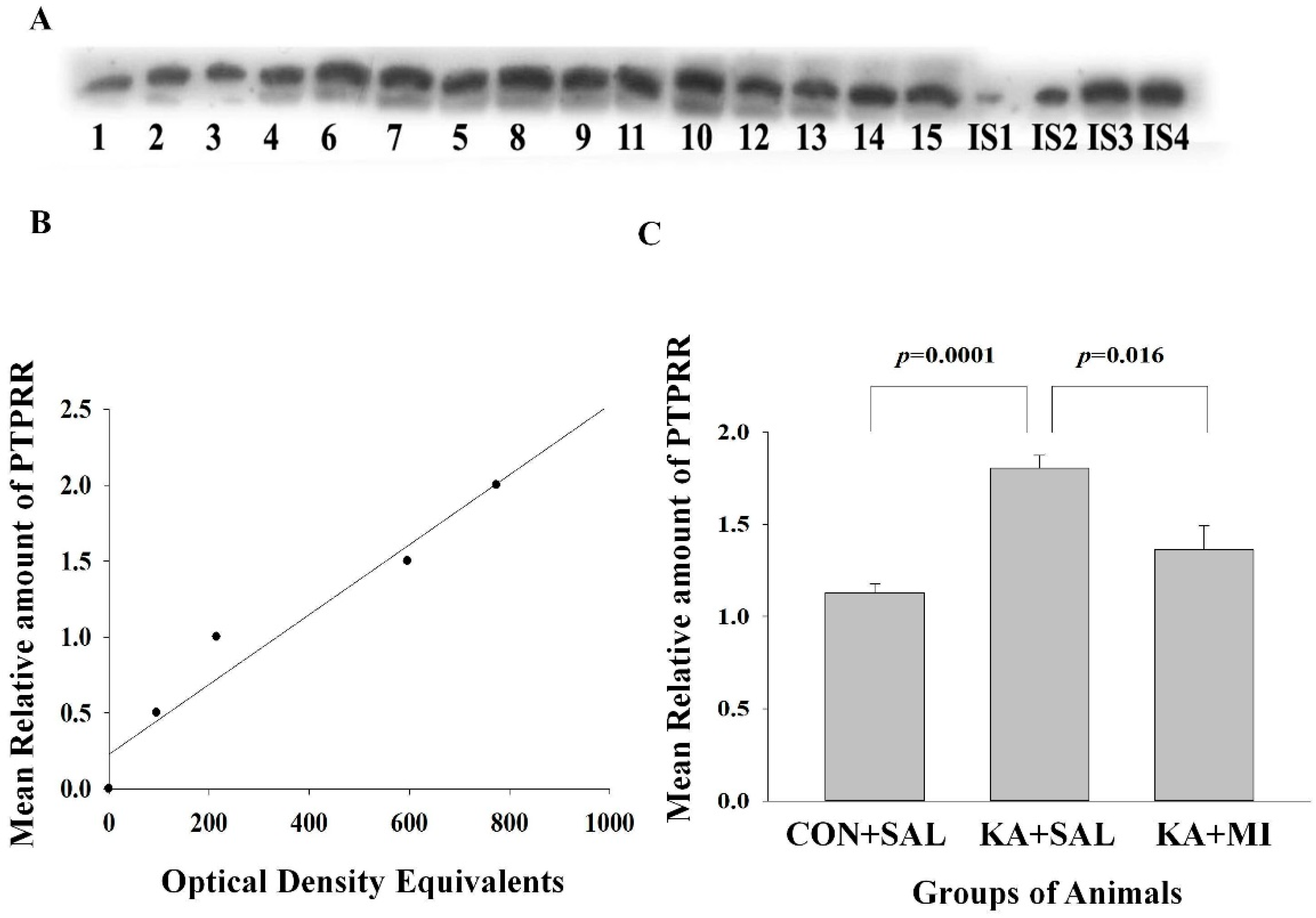 Ijms 23 01198 g006 550