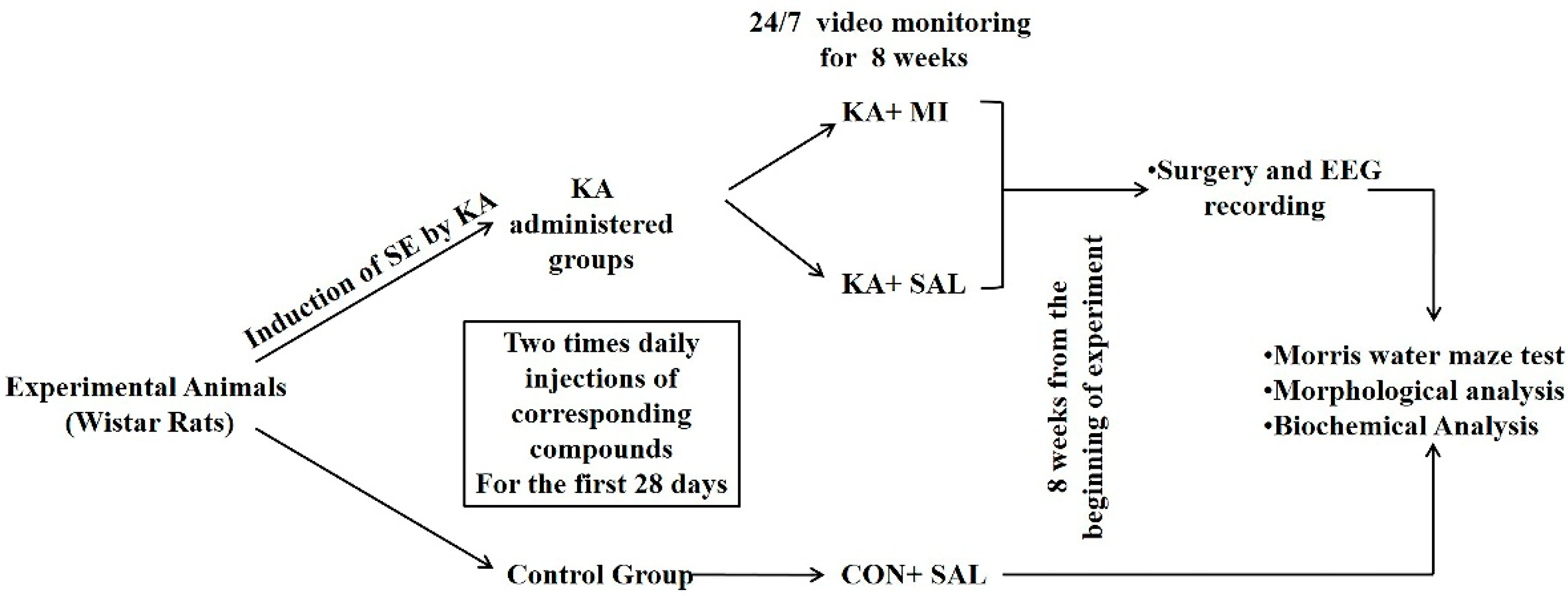 Ijms 23 01198 g008 550