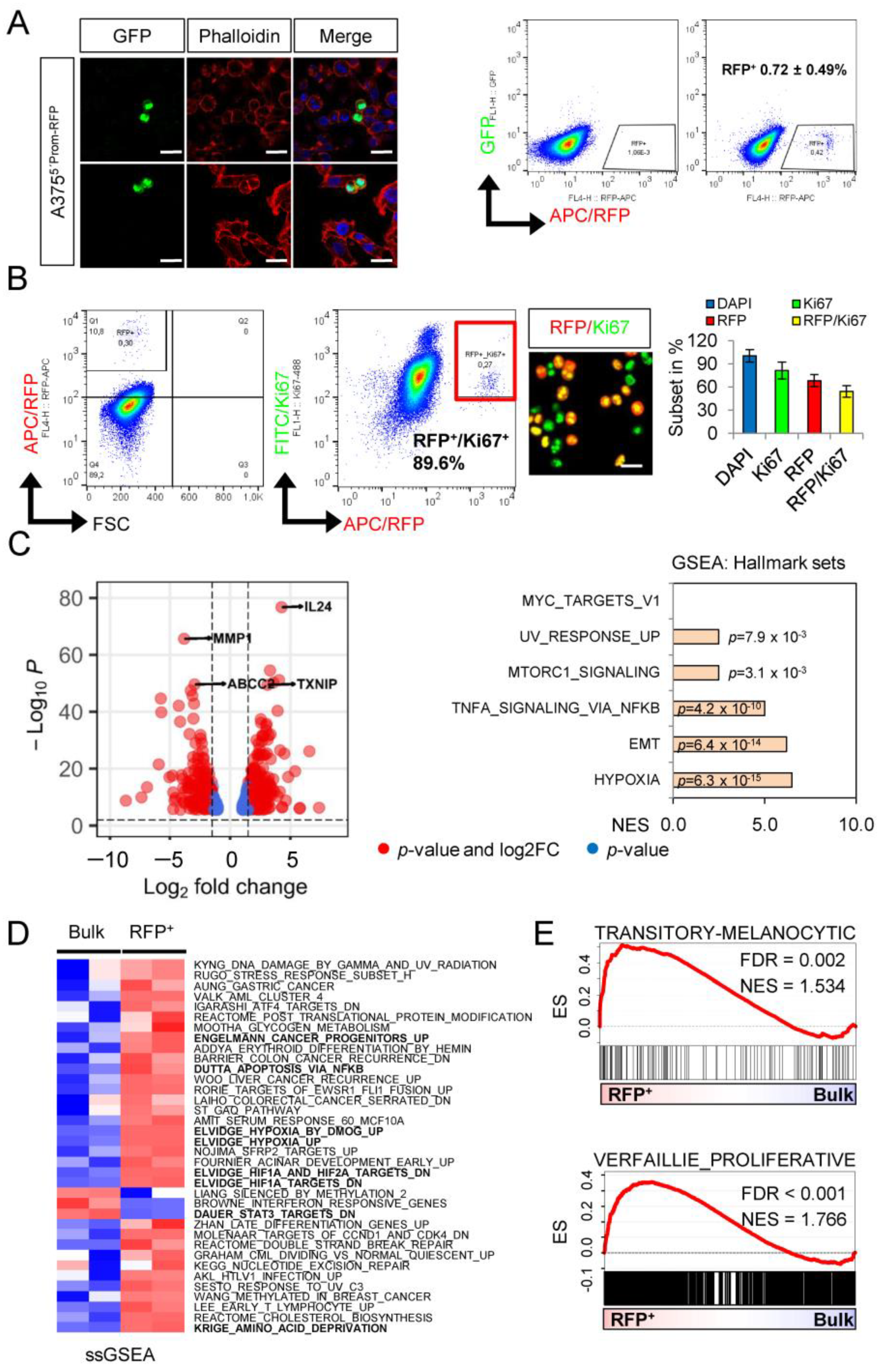 Ijms 23 01199 g002 550