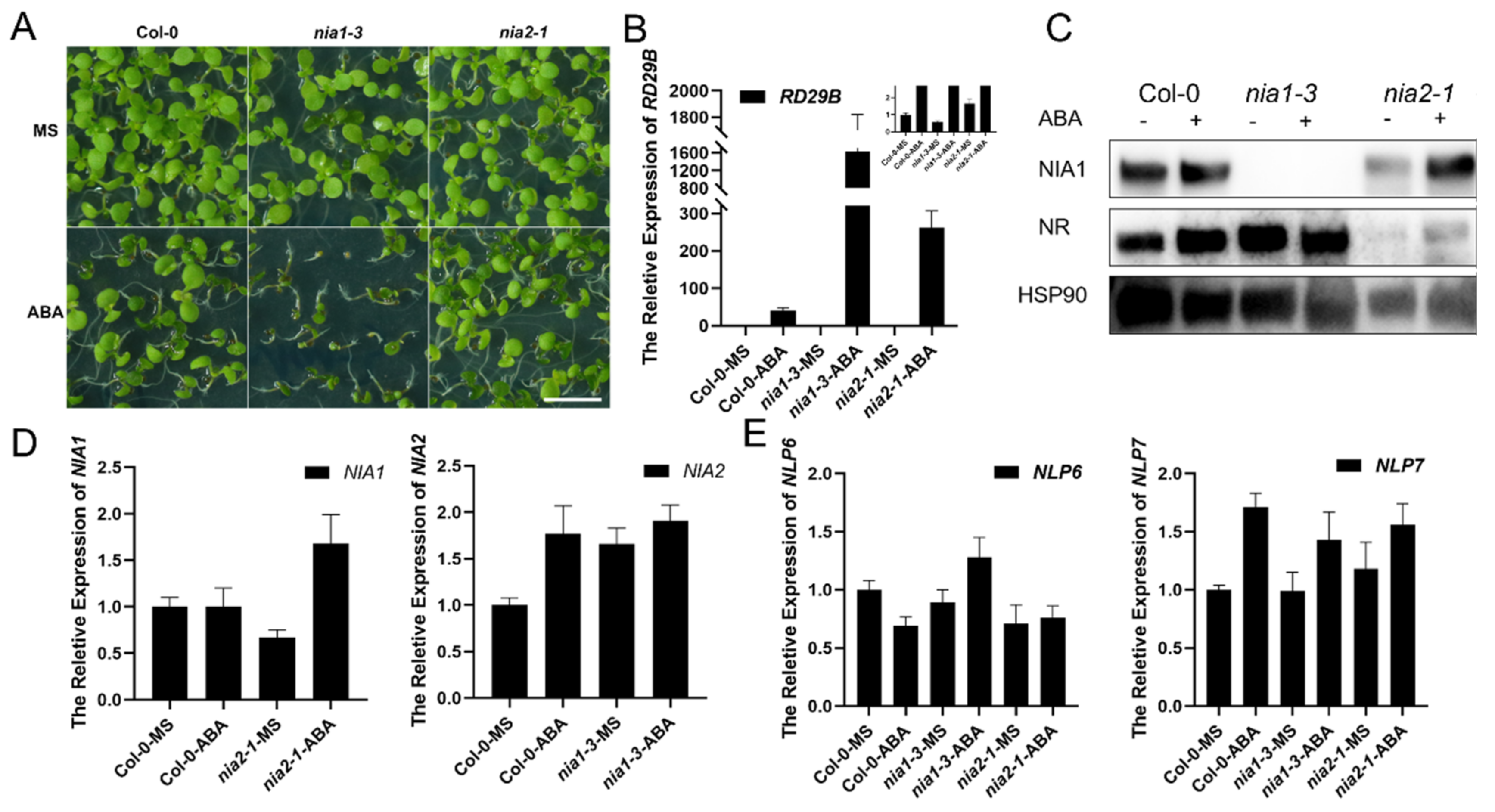 Ijms 23 01202 g001 Ijms 23 01202 g001