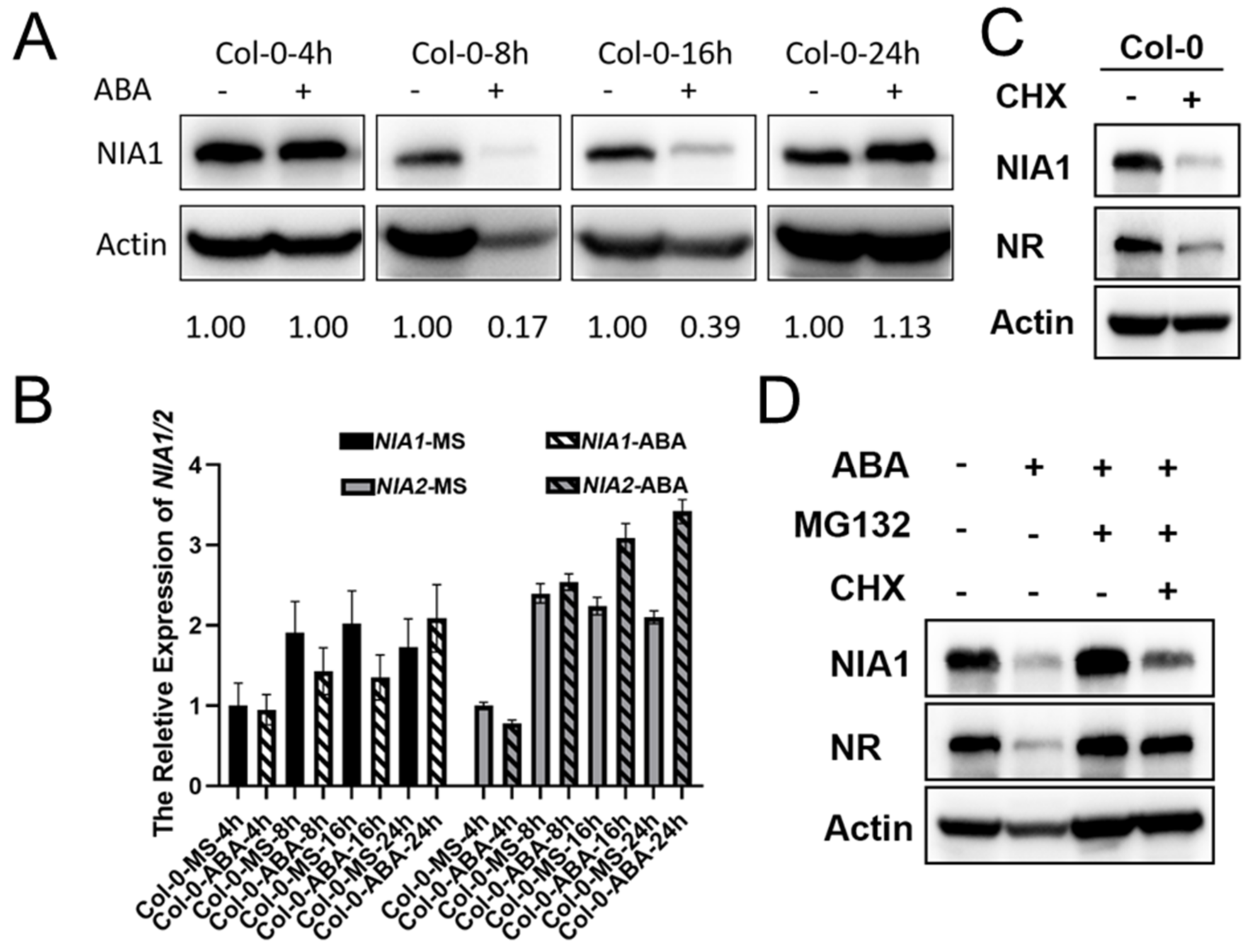 Ijms 23 01202 g002 Ijms 23 01202 g002