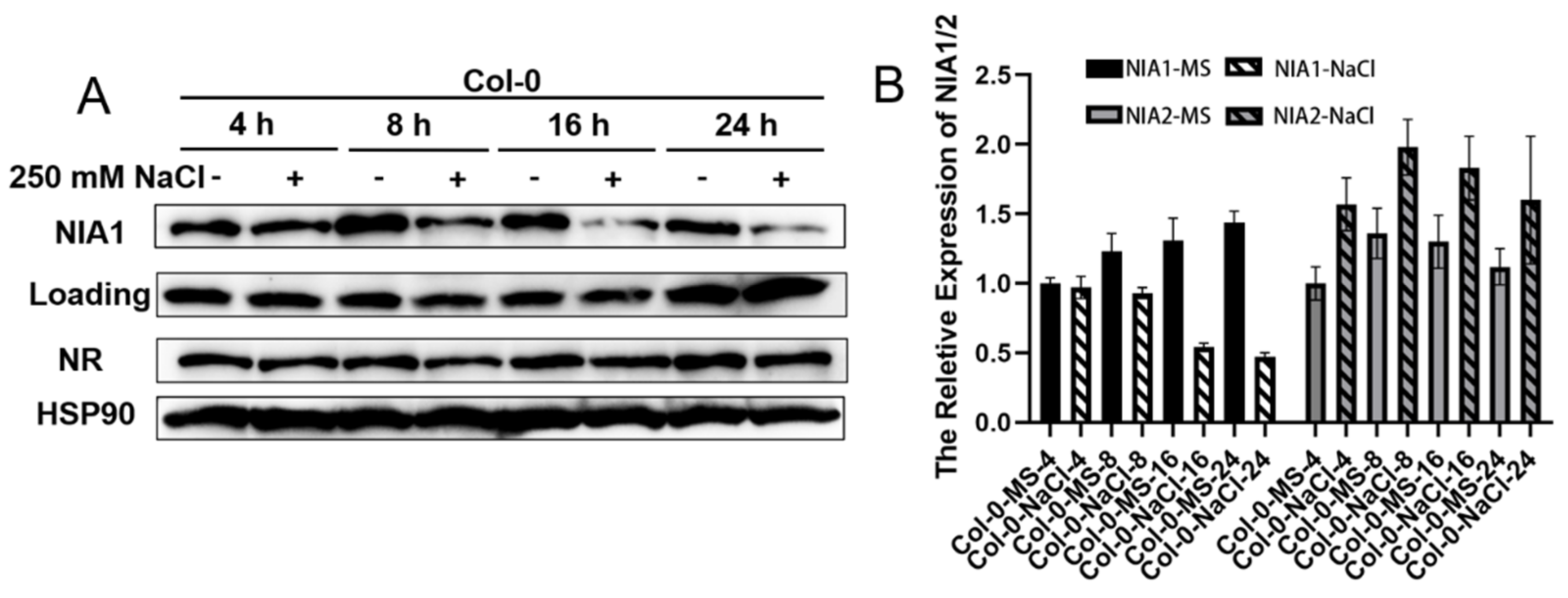 Ijms 23 01202 g004 Ijms 23 01202 g004