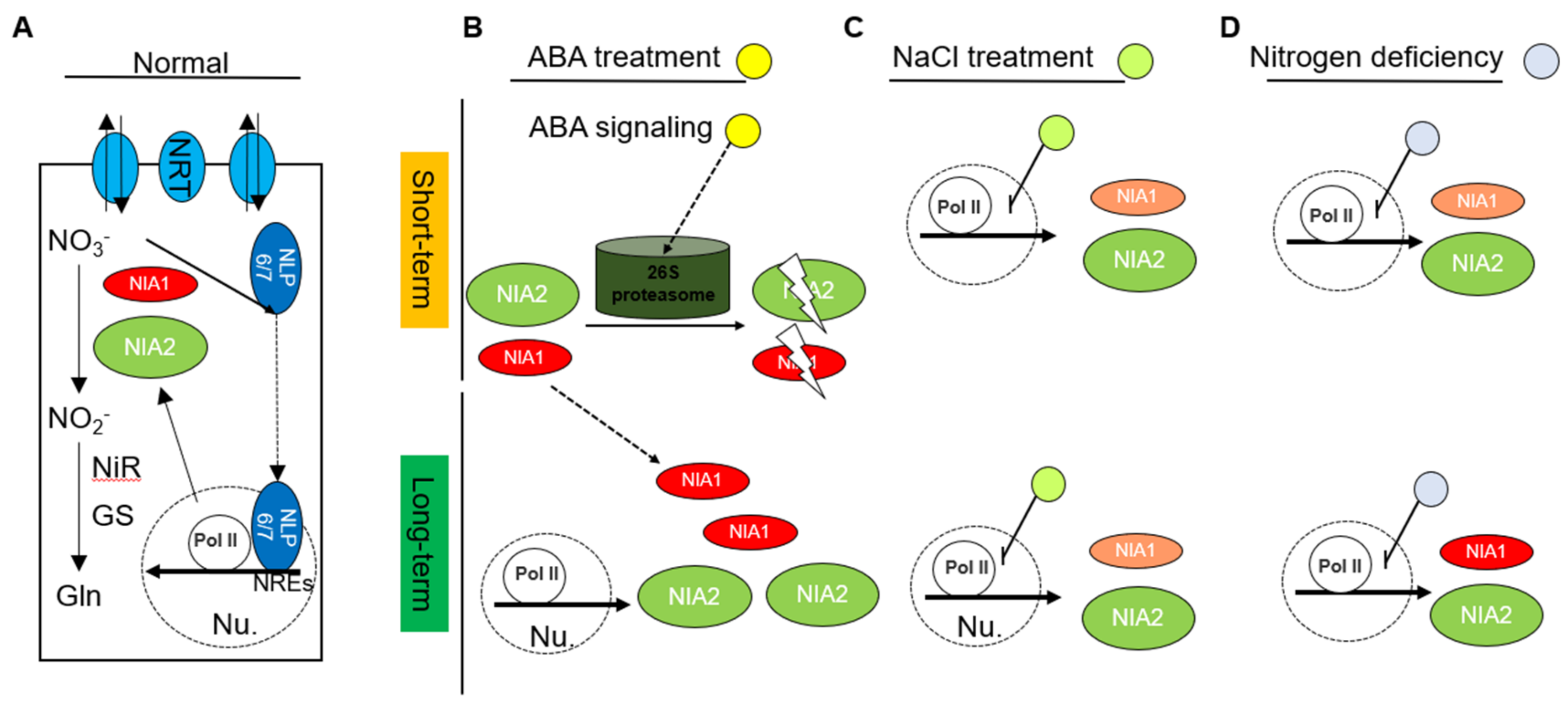 Ijms 23 01202 g006 Ijms 23 01202 g006