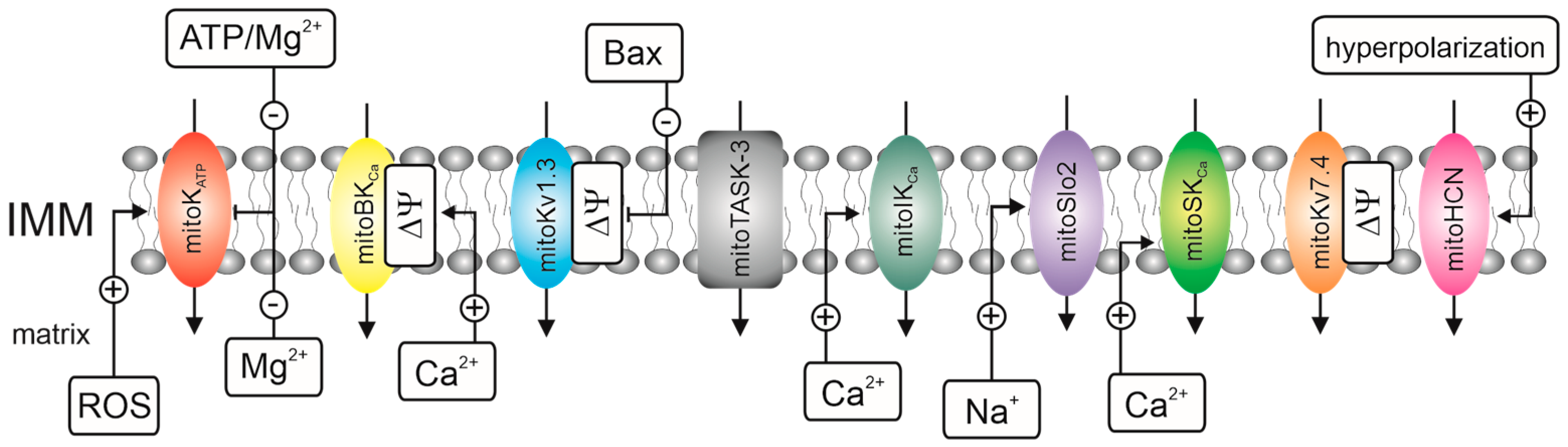 Ijms 23 01210 g001 Ijms 23 01210 g001