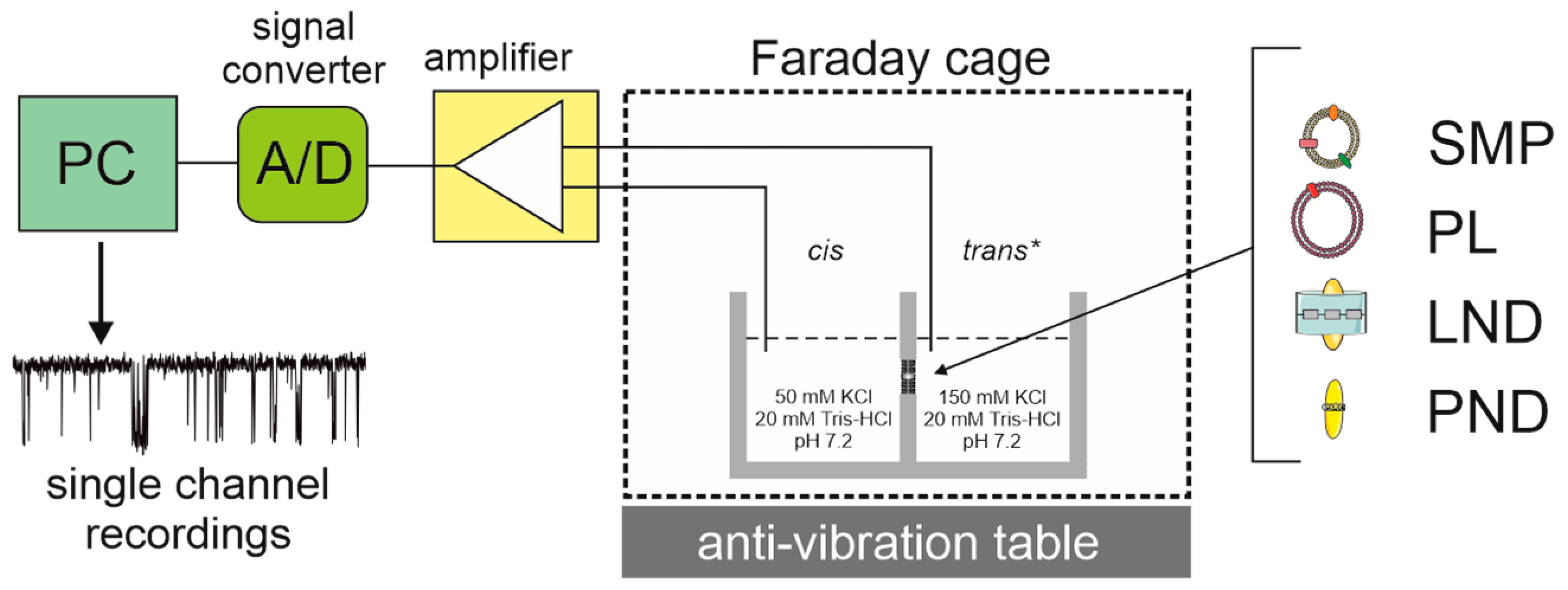 Ijms 23 01210 g002 Ijms 23 01210 g002