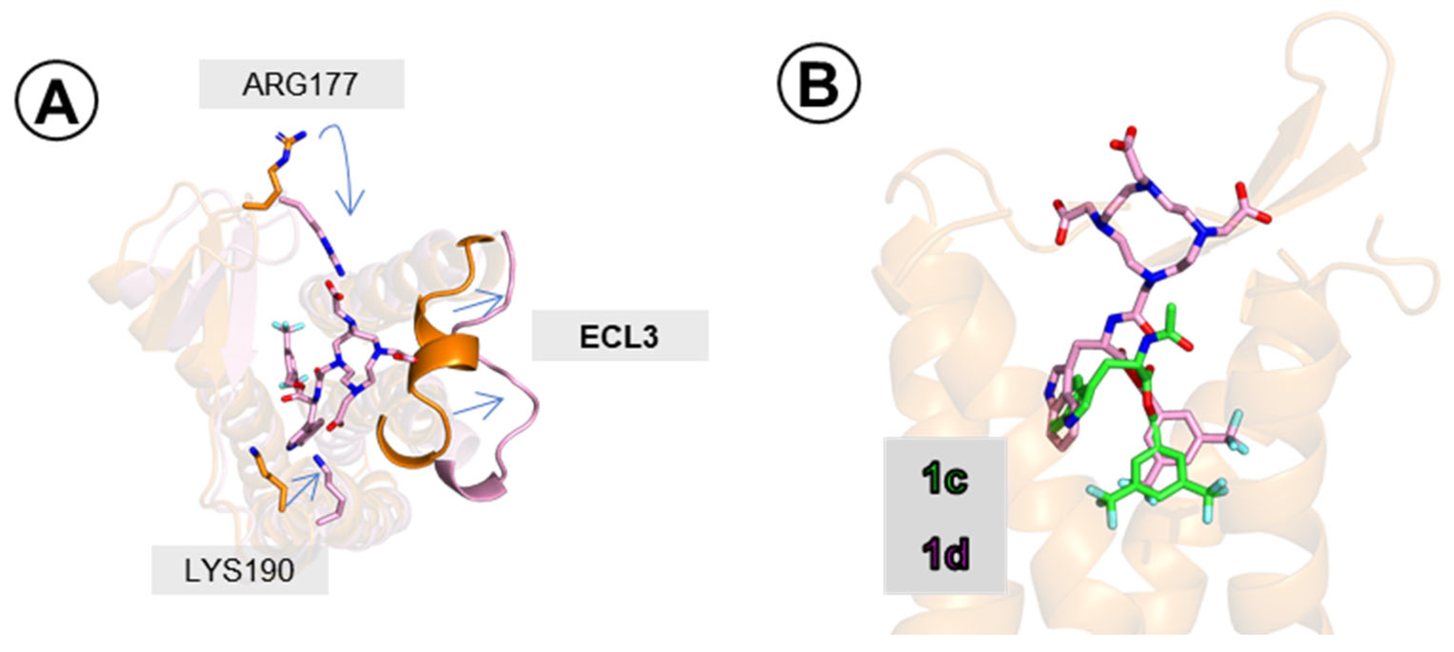 Ijms 23 01214 g008 Ijms 23 01214 g008