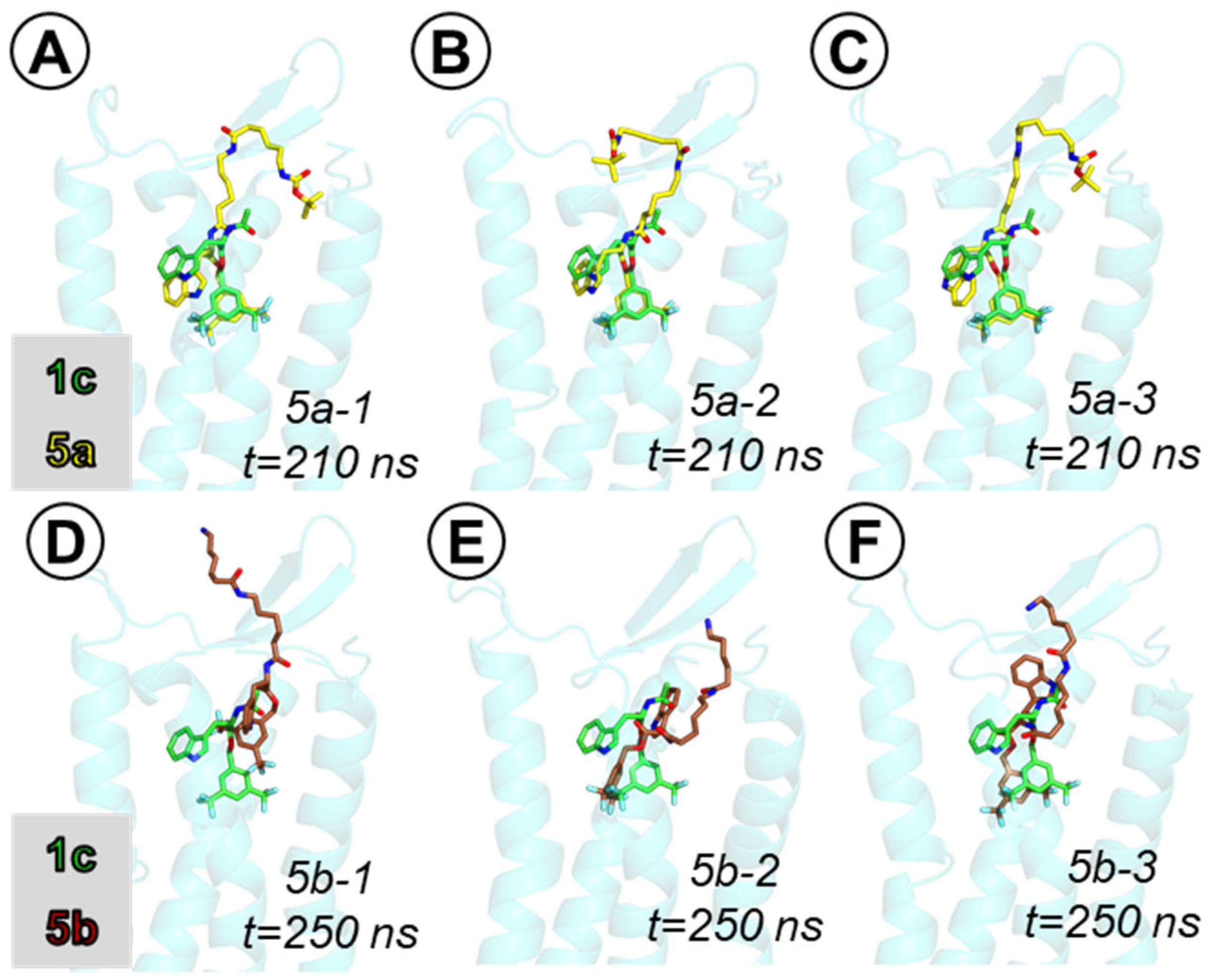 Ijms 23 01214 g009 Ijms 23 01214 g009